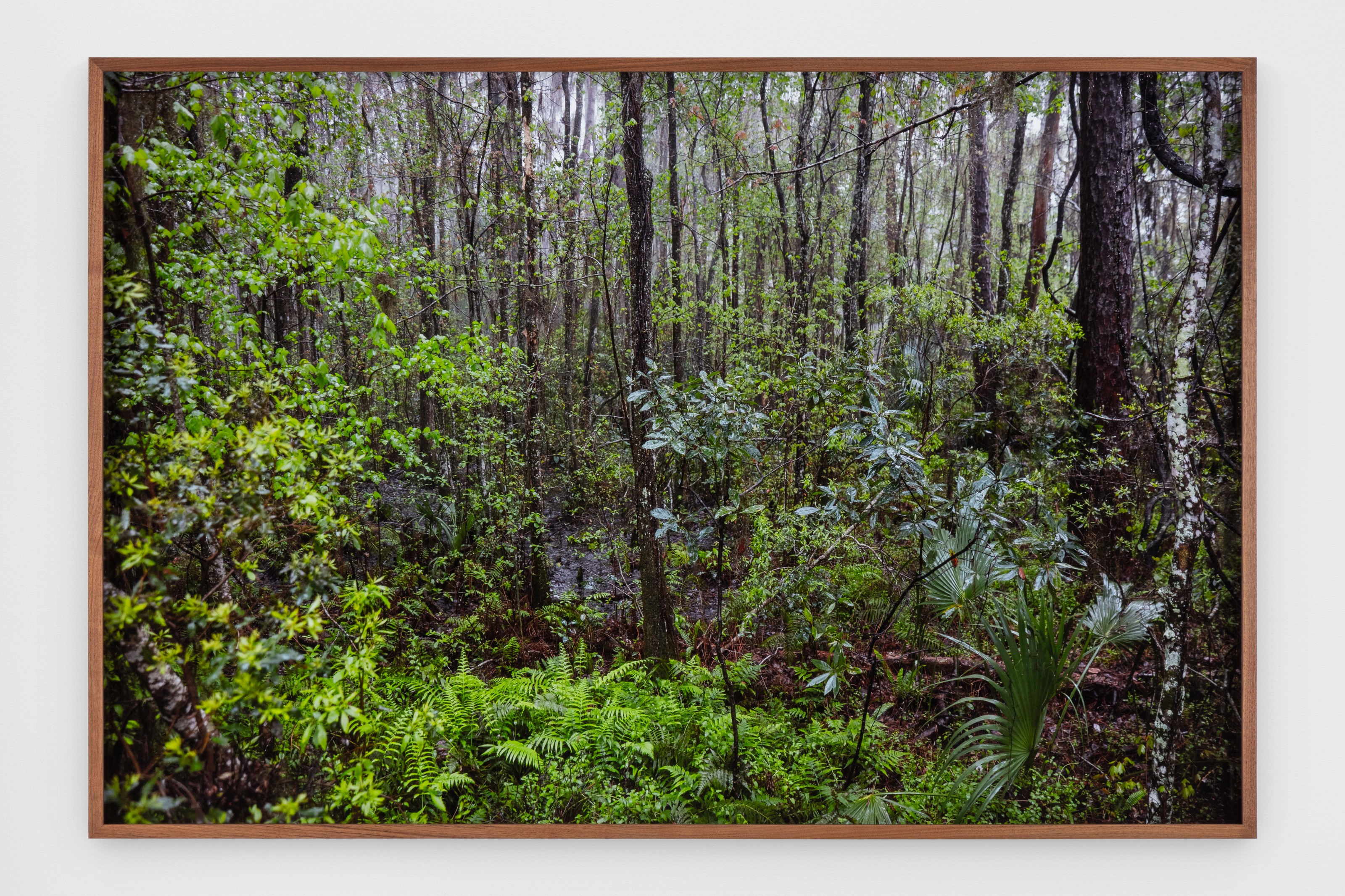 Photograph by Catherine Opie