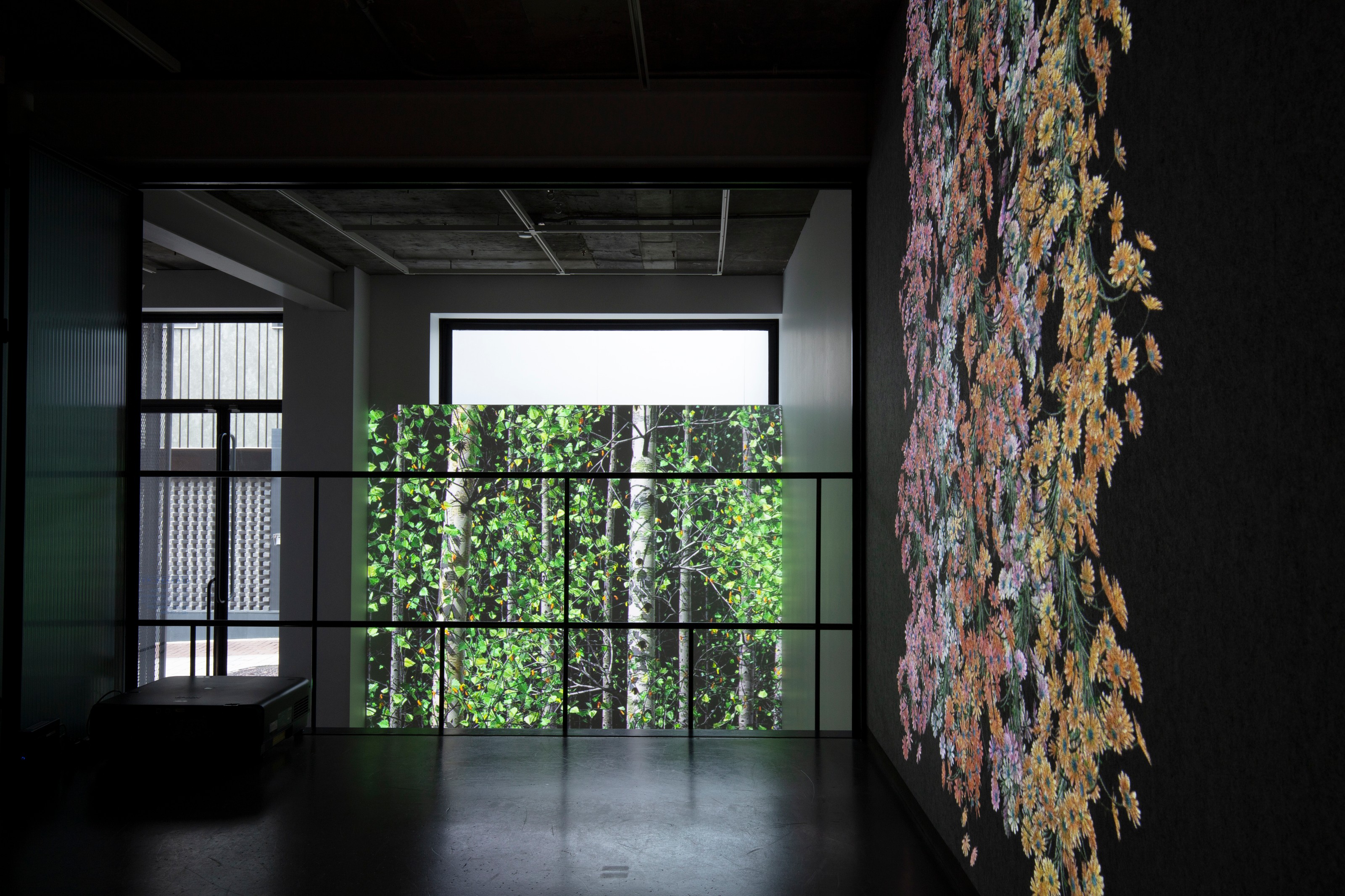 Installation view of Jennifer Steinkamp at Lehmann Maupin Seoul