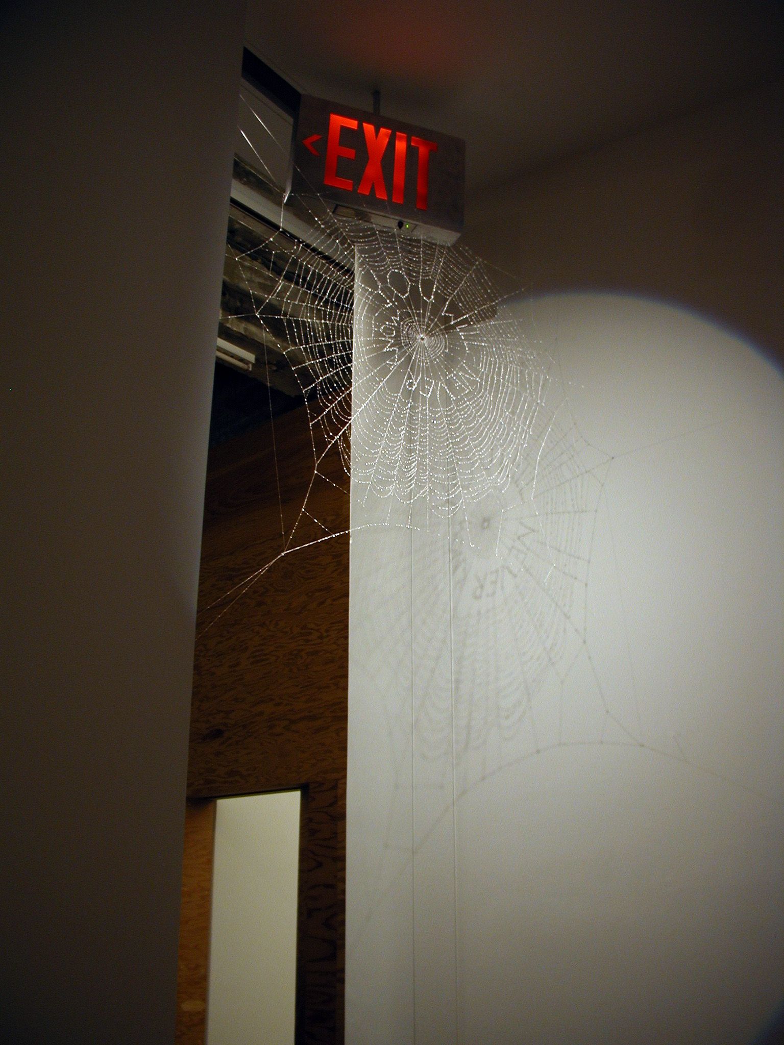 Sculpture by Bryan Crockett
