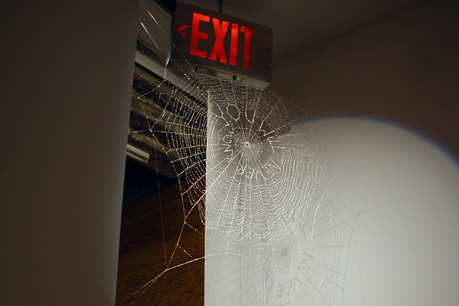 Sculpture by Bryan Crockett