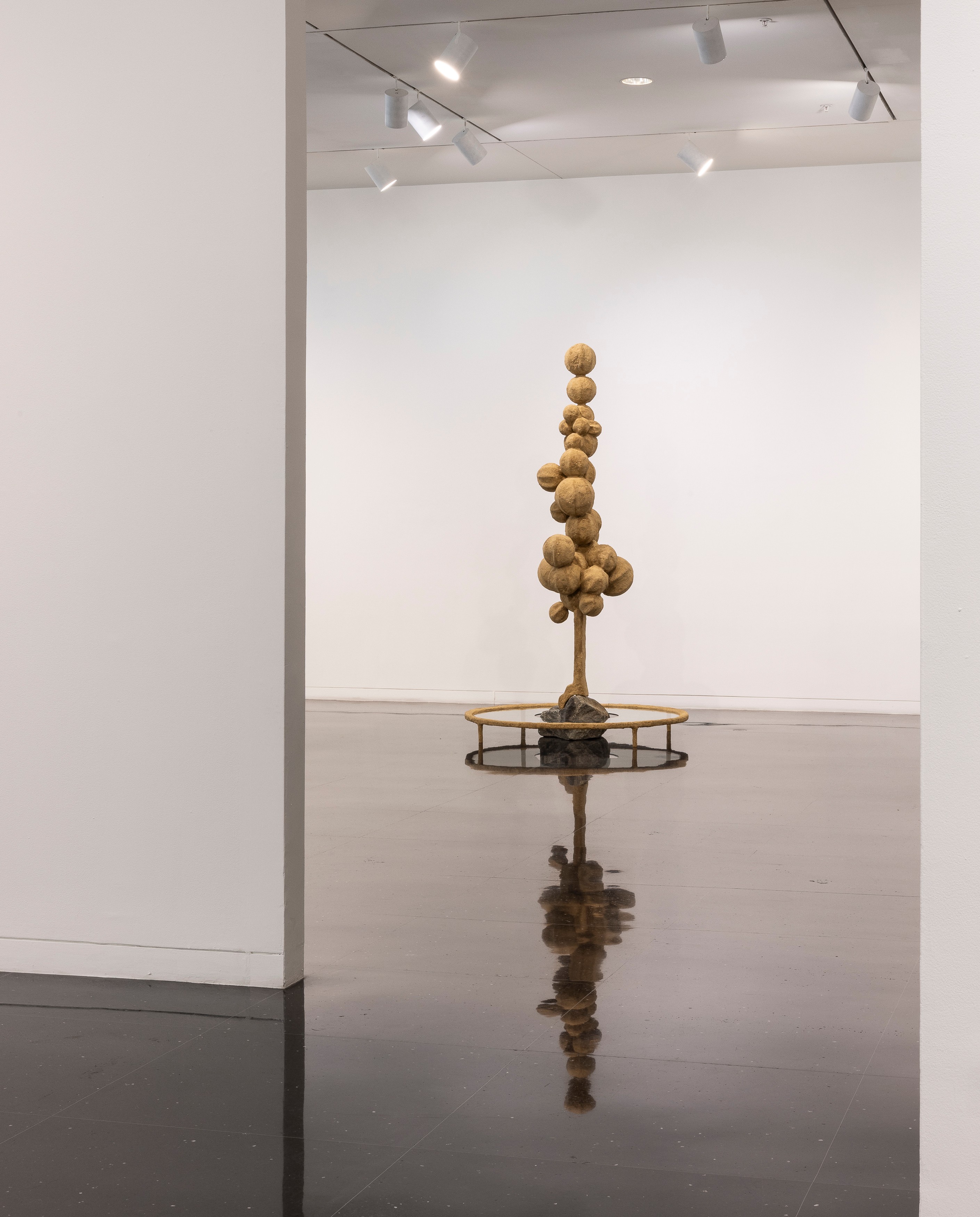 Installation view of Into Your Arm's Length at The Arts Club of Chicago