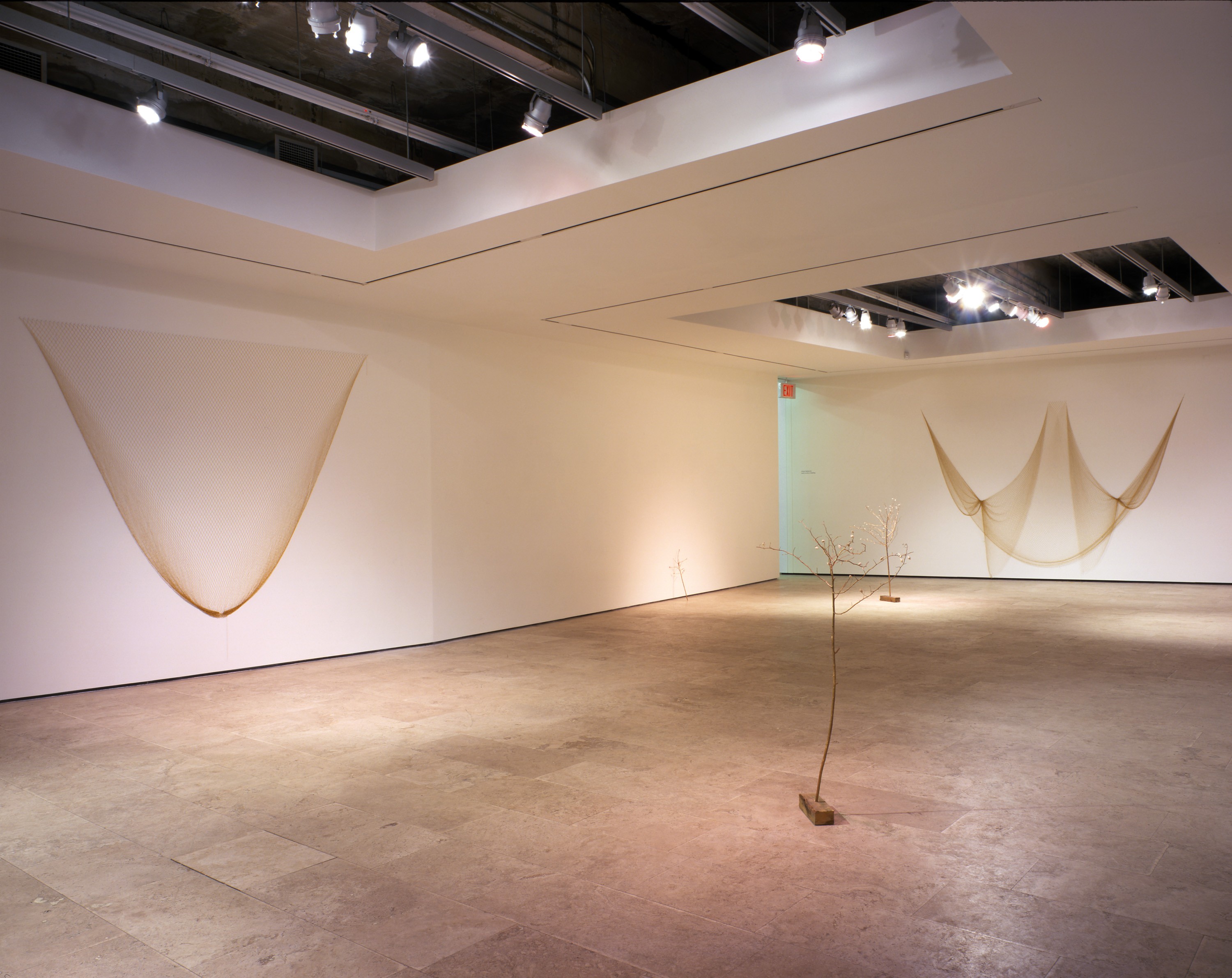 Installation view of Anya Gallaccio at Lehmann Maupin New York