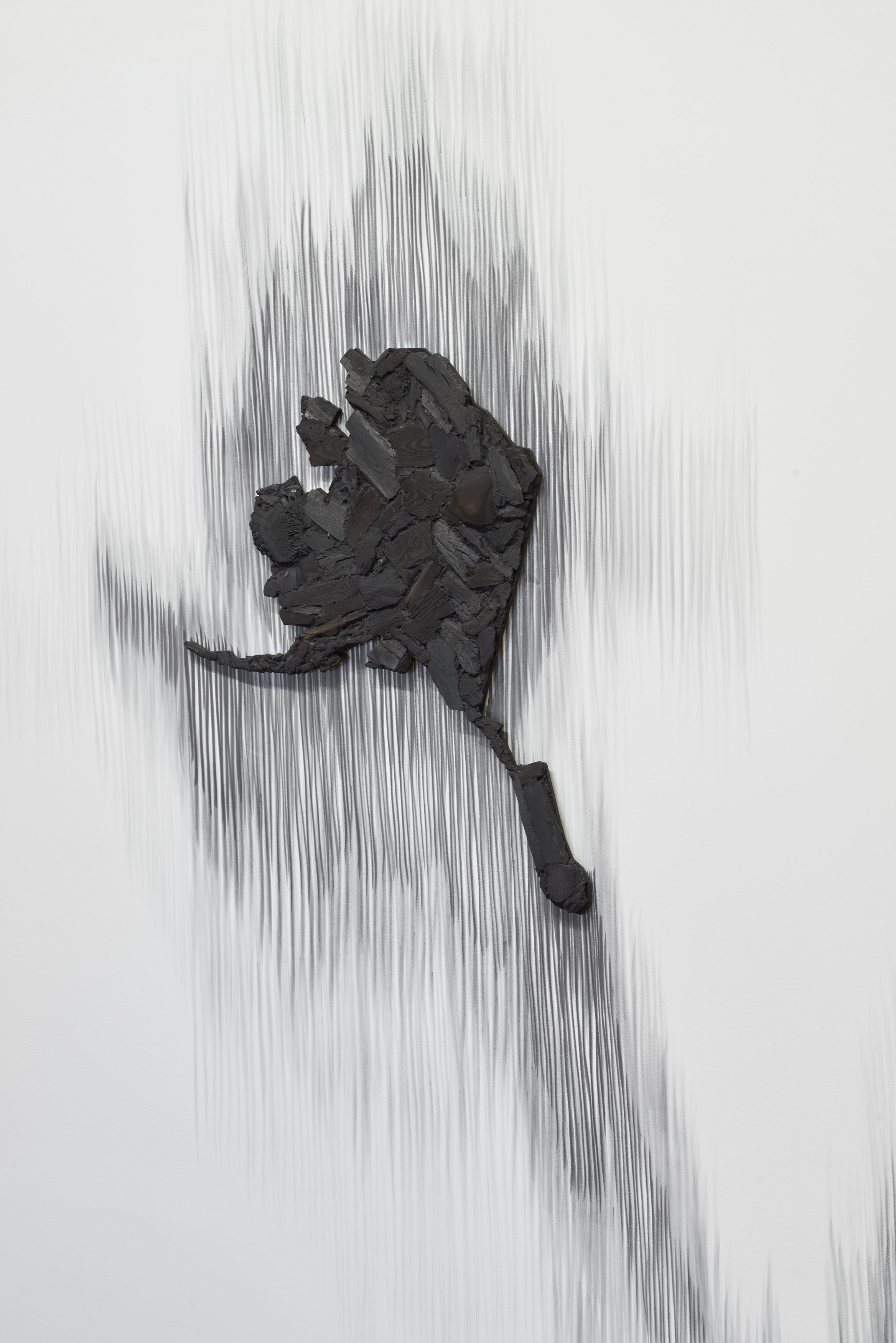 Charcoal work by Teresita Fernández 