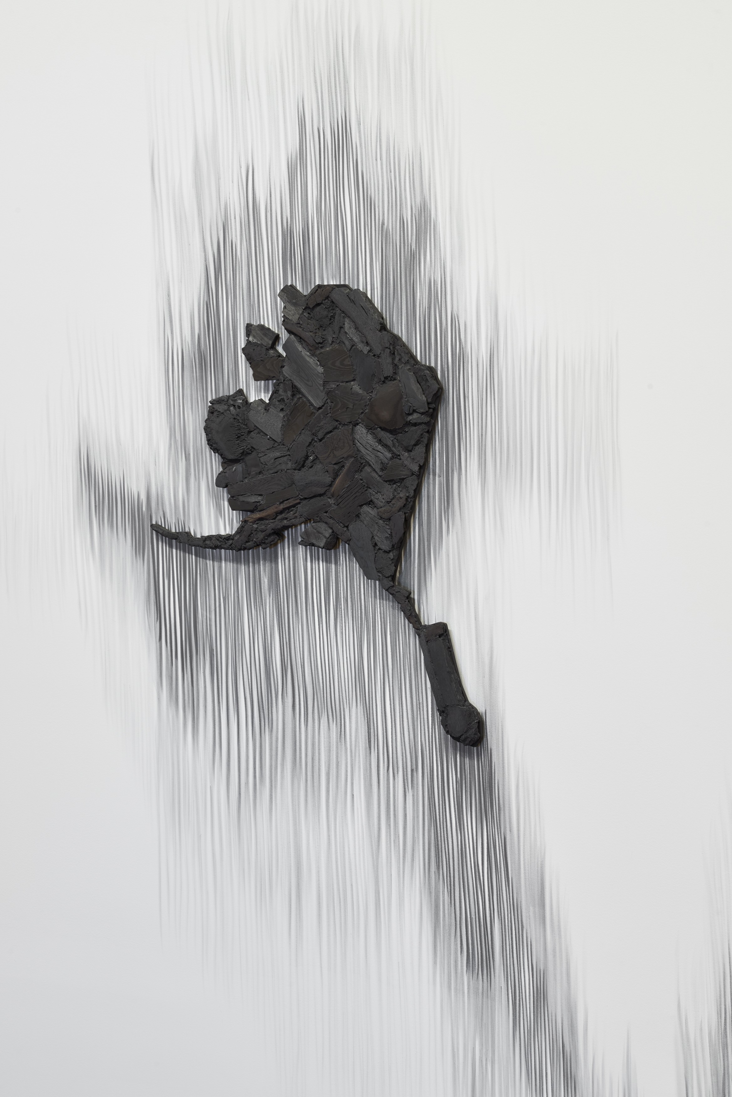Charcoal work by Teresita Fernández