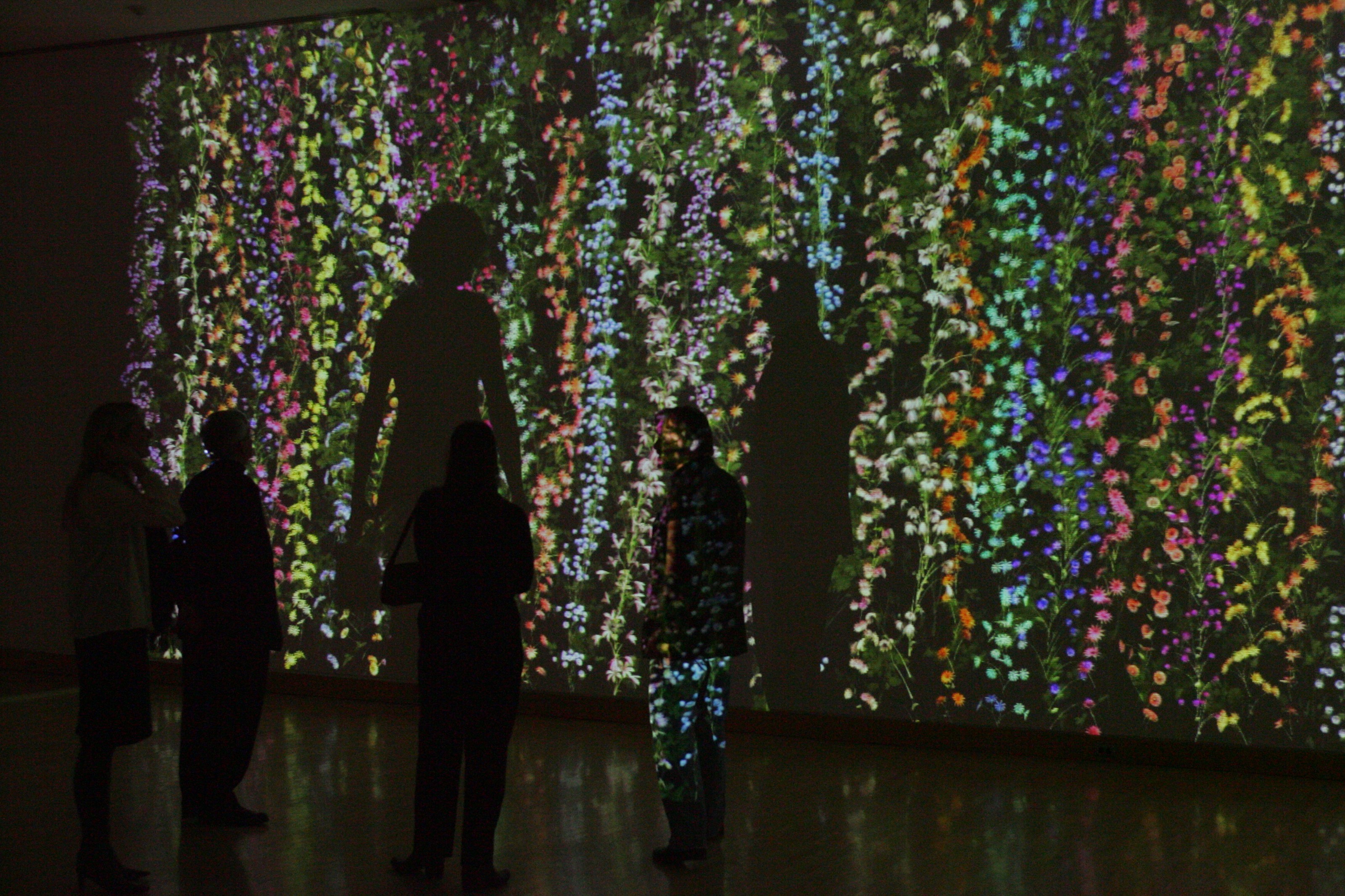 Installation view of Jennifer Steinkamp at Kemper Museum of Contemporary Art