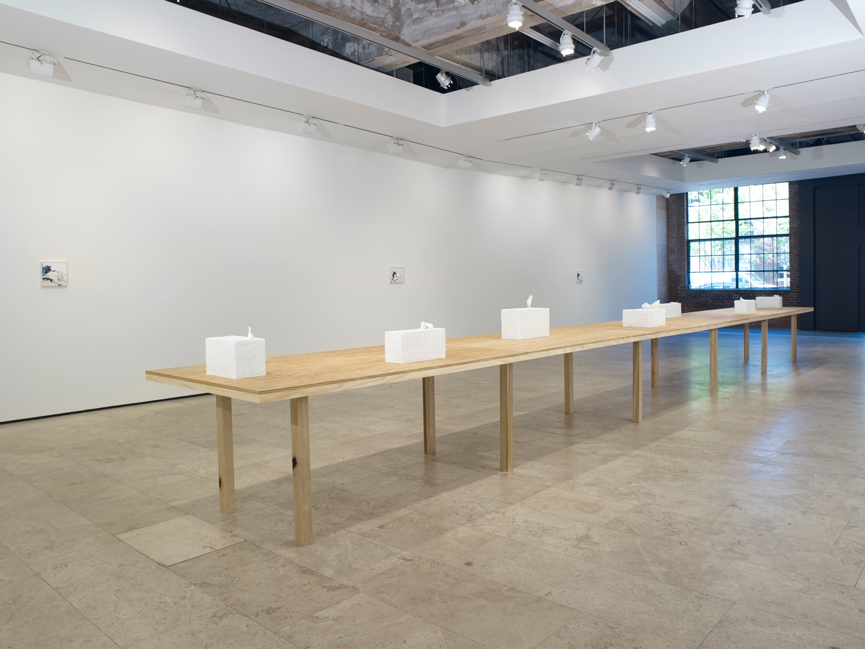 Installation view of I Followed You To The Sun at Lehmann Maupin New York
