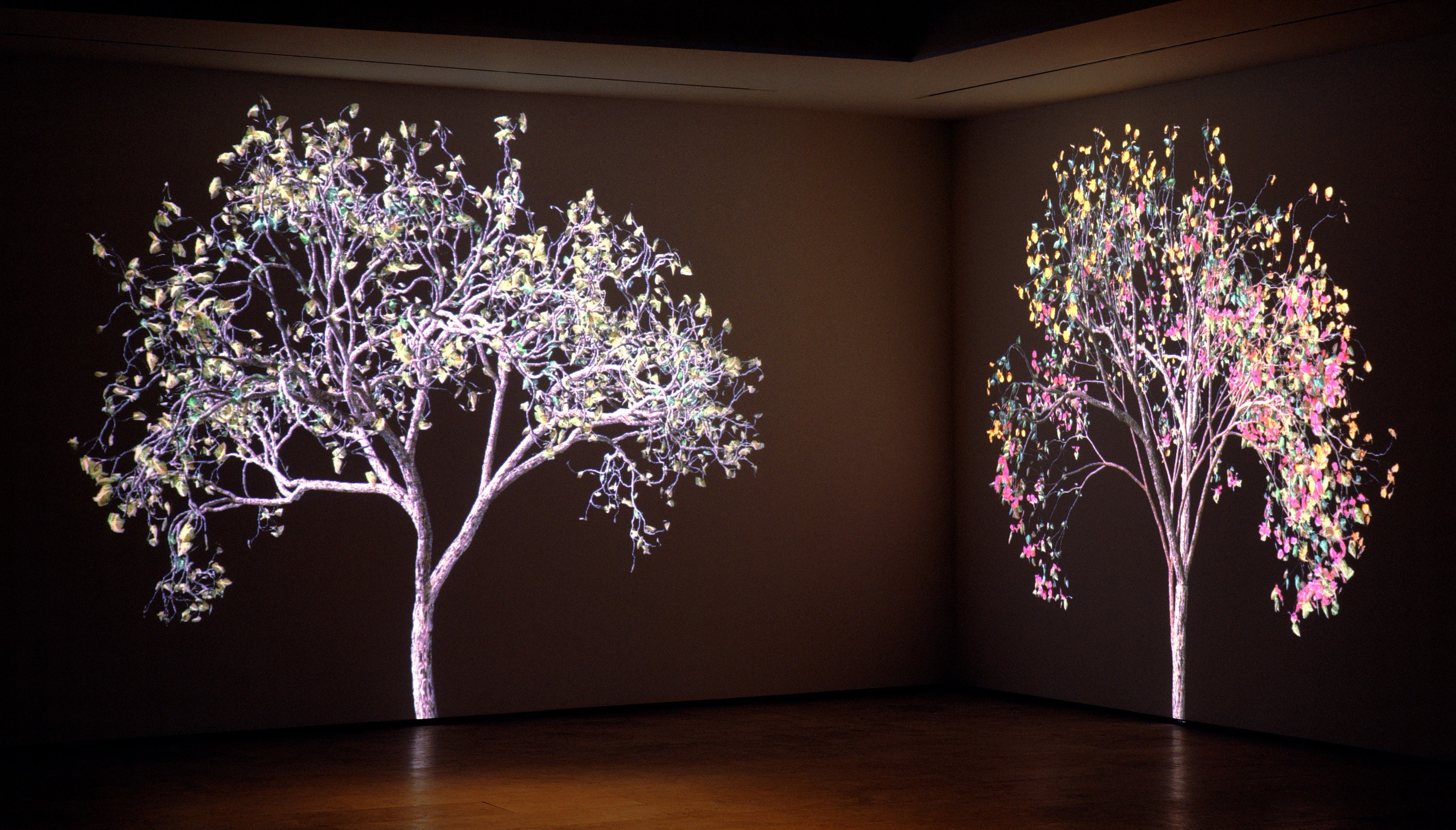 Installation of Jennifer Steinkamp at Lehmann Maupin New York