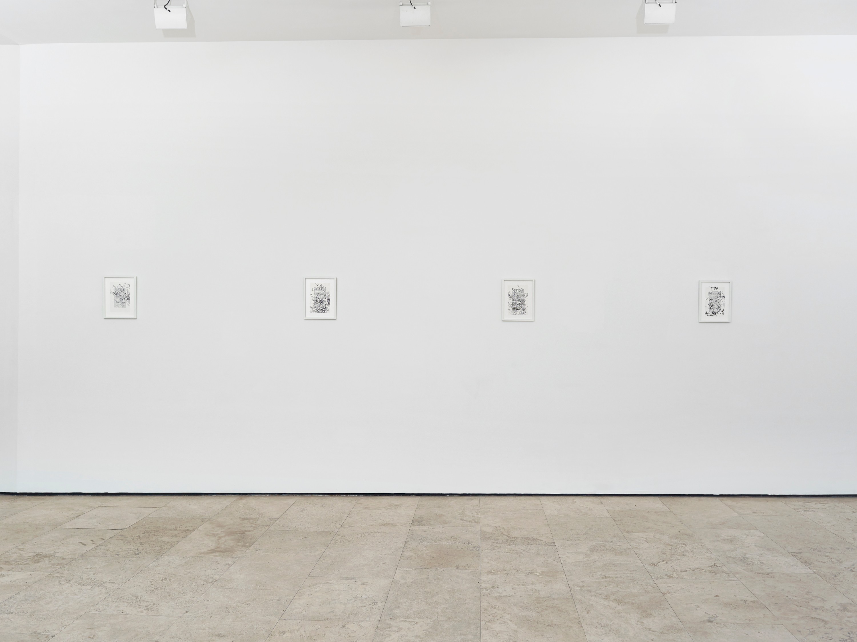 Installation view of On the Origin at Lehmann Maupin New York