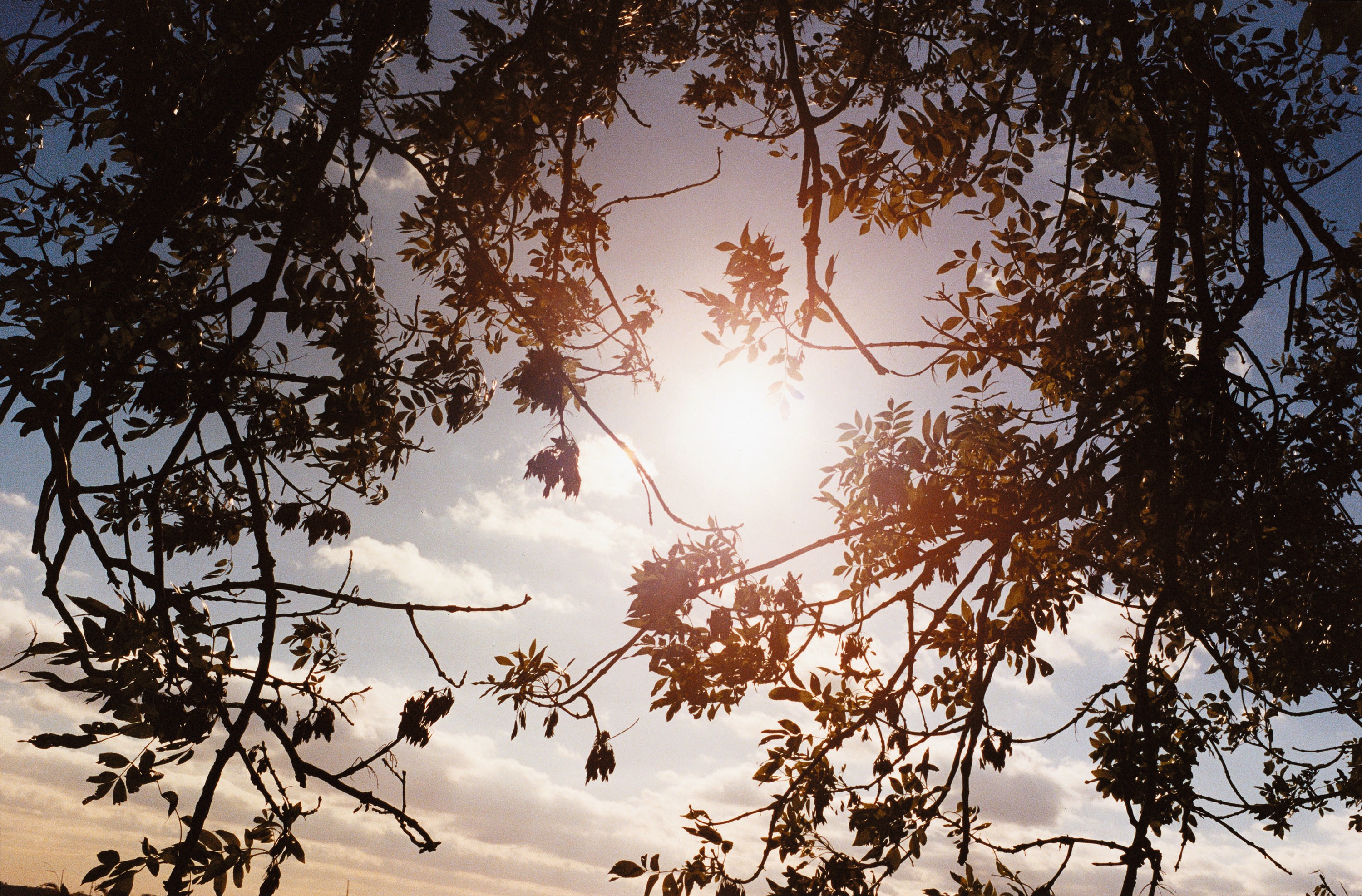 Photograph by Juergen Teller