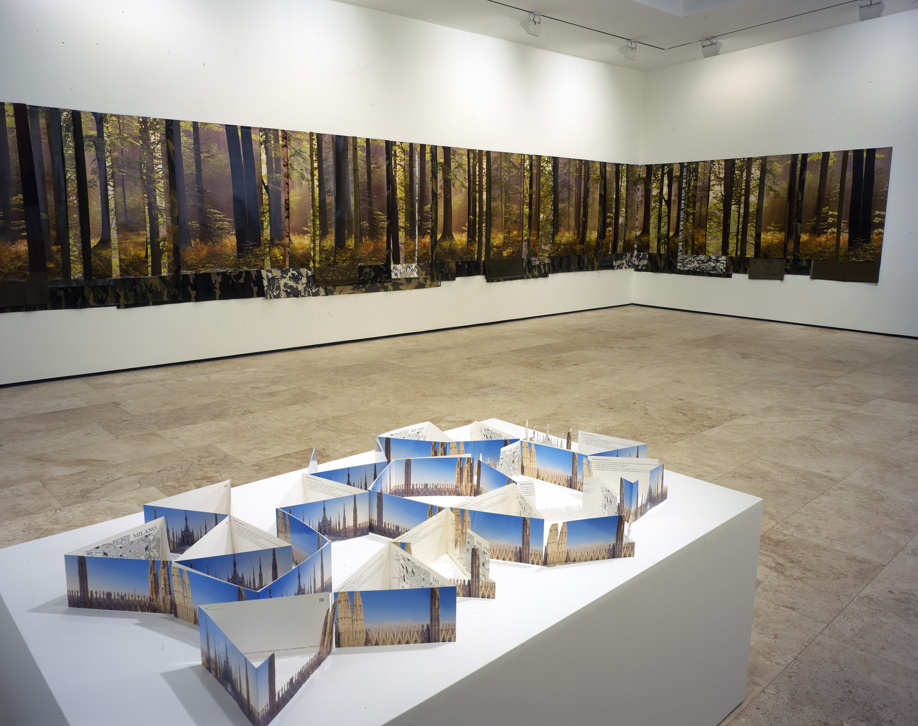 Installation view of Stefano Arienti at Lehmann Maupin New York