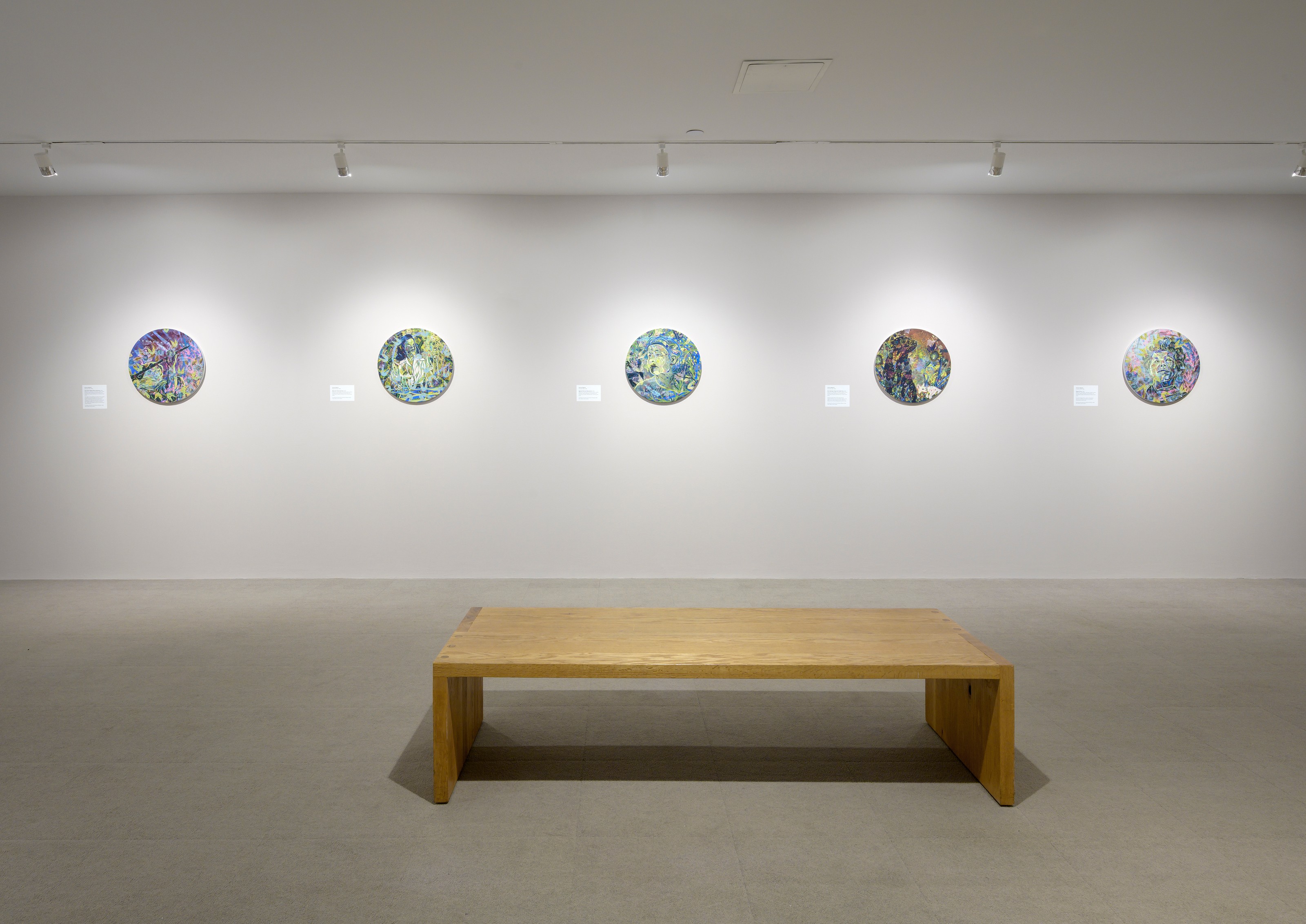 Installation view of The Political Uses of Madness at UMass Amherst