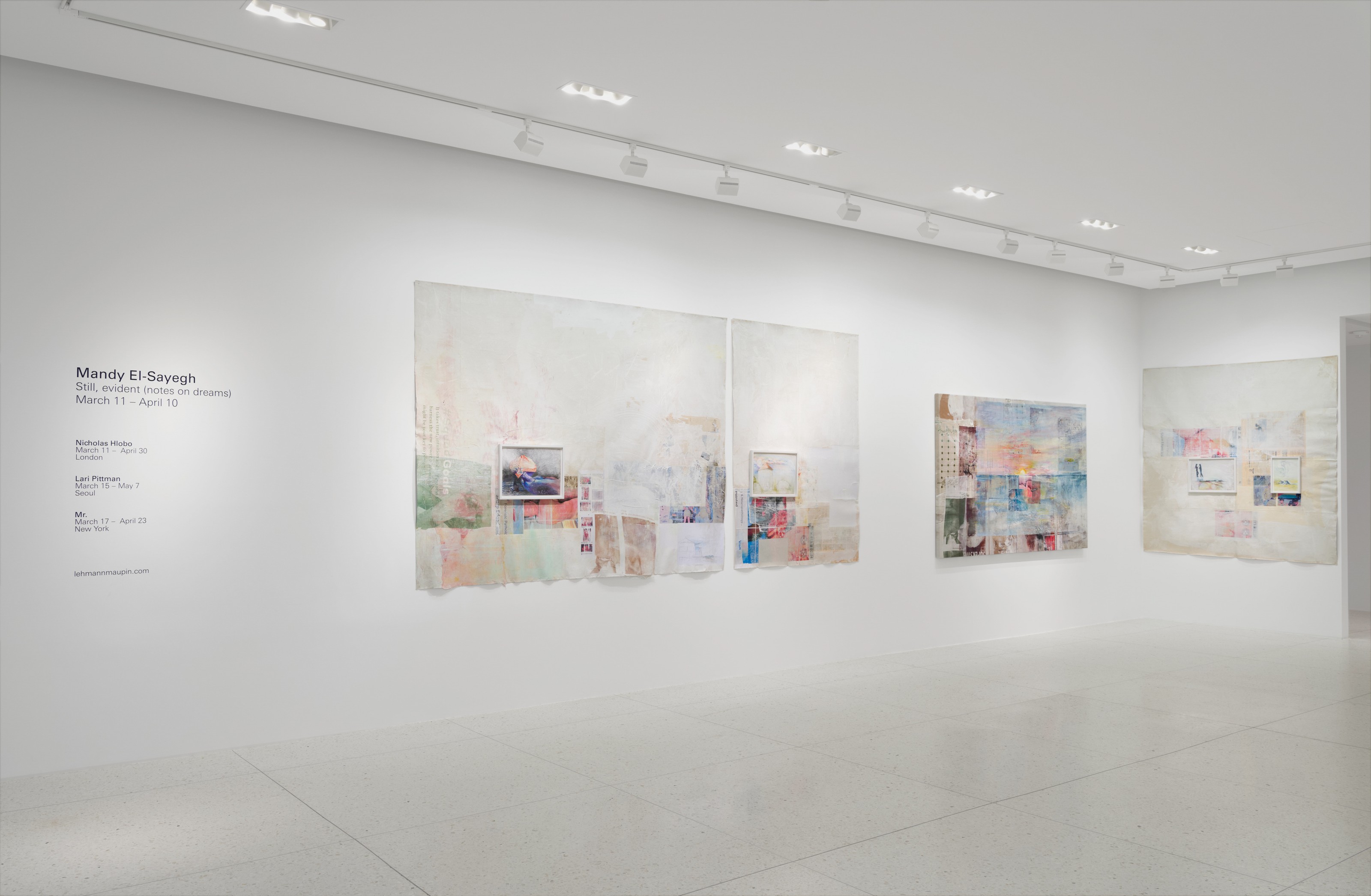 Installation view of Mandy El-Sayegh at Lehmann Maupin Palm Beach