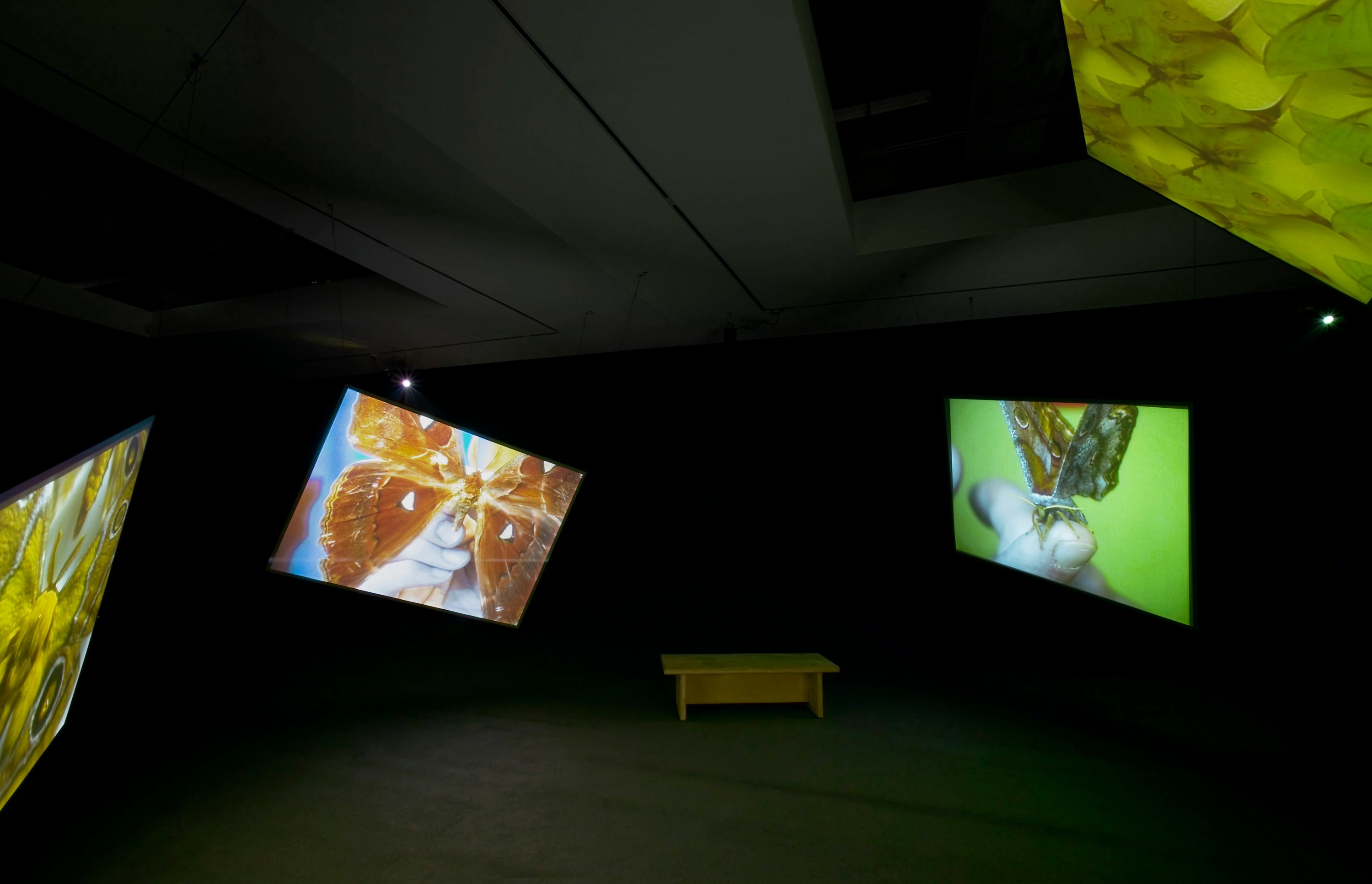 Installation view of Kutlug Ataman at Lehmann Maupin New York