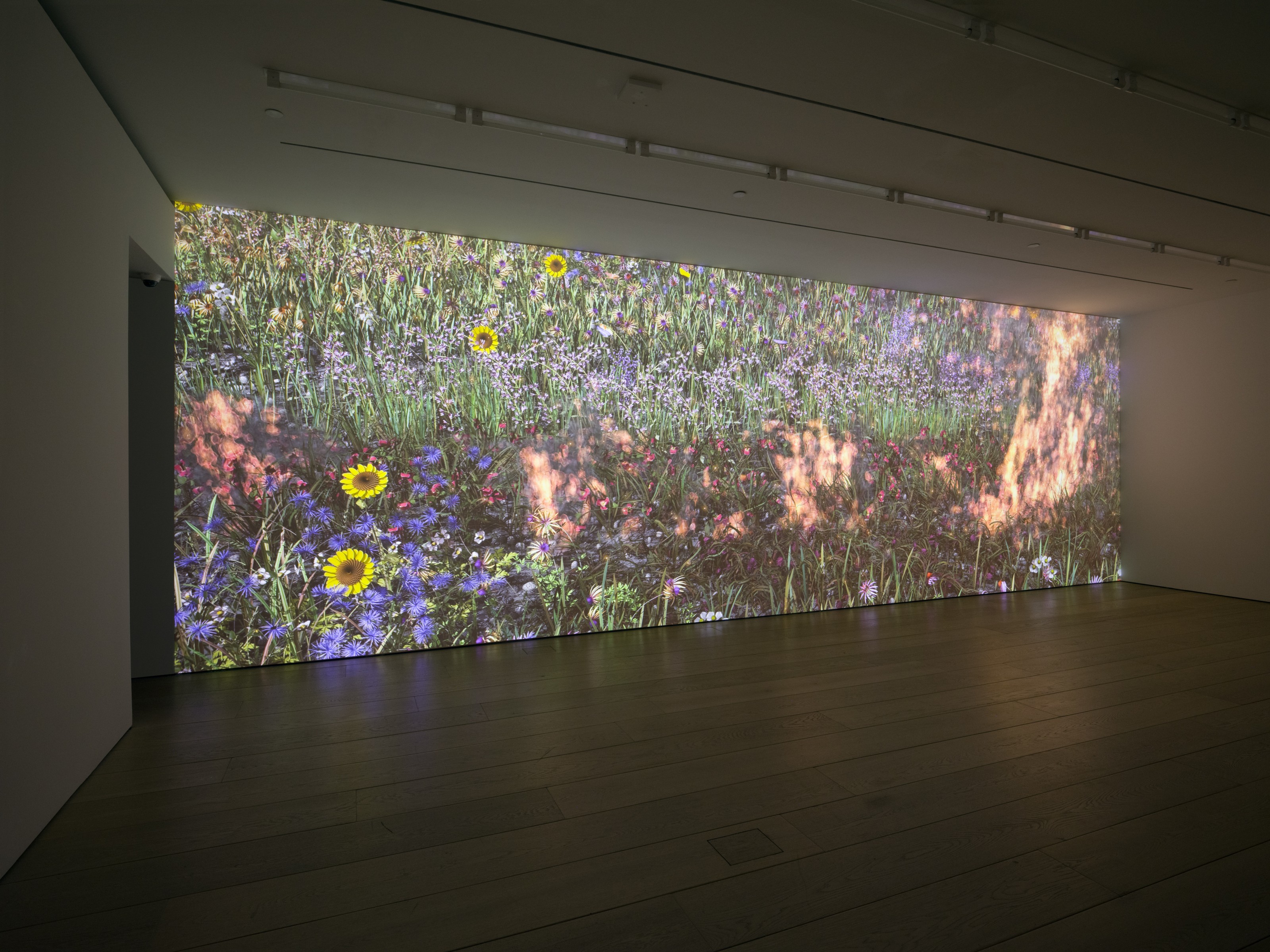 Installation view of Jennifer Steinkamp at Lehmann Maupin New York