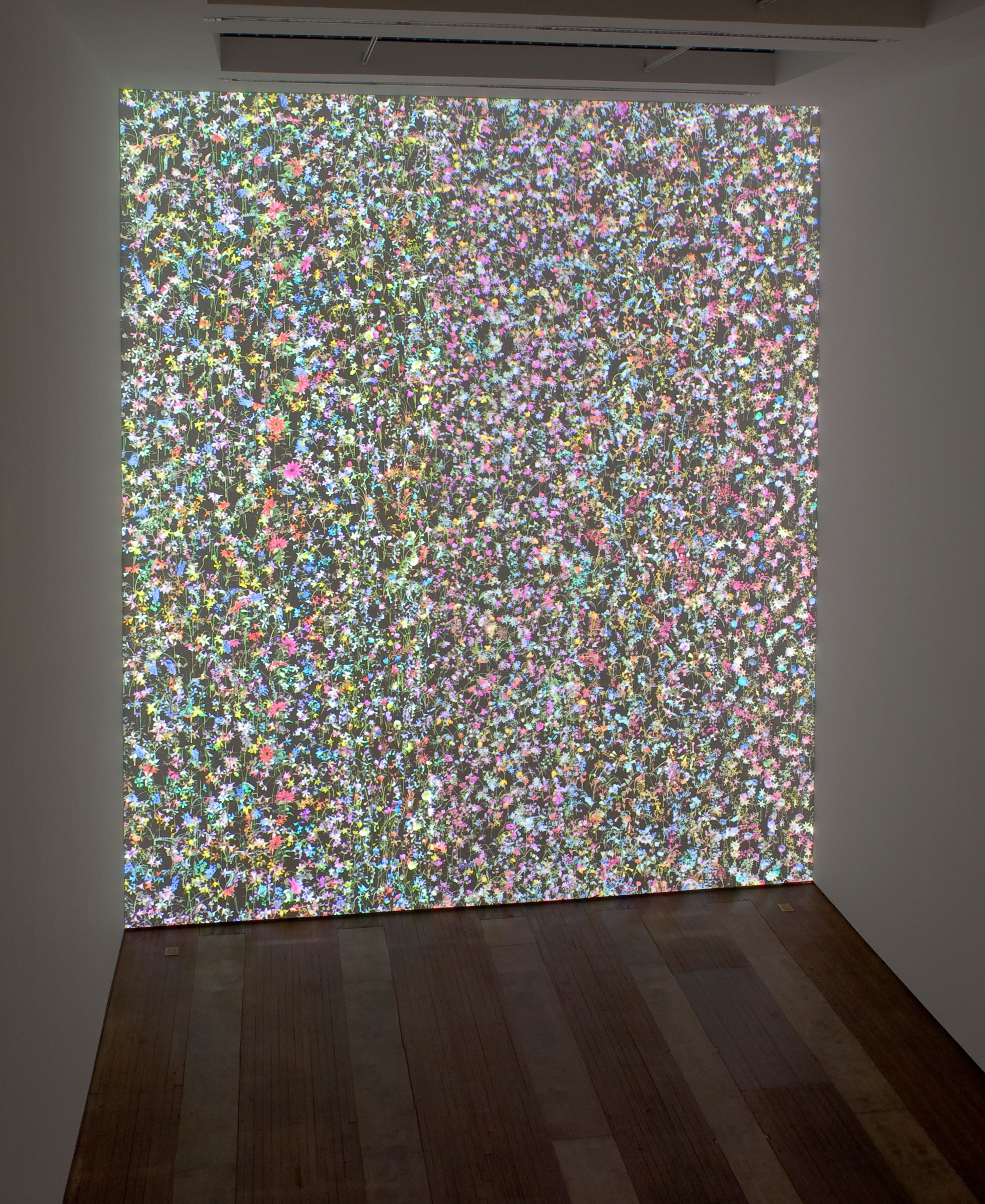 Installation view of Daisy Bell and Left Clavicle at Lehmann Maupin New York