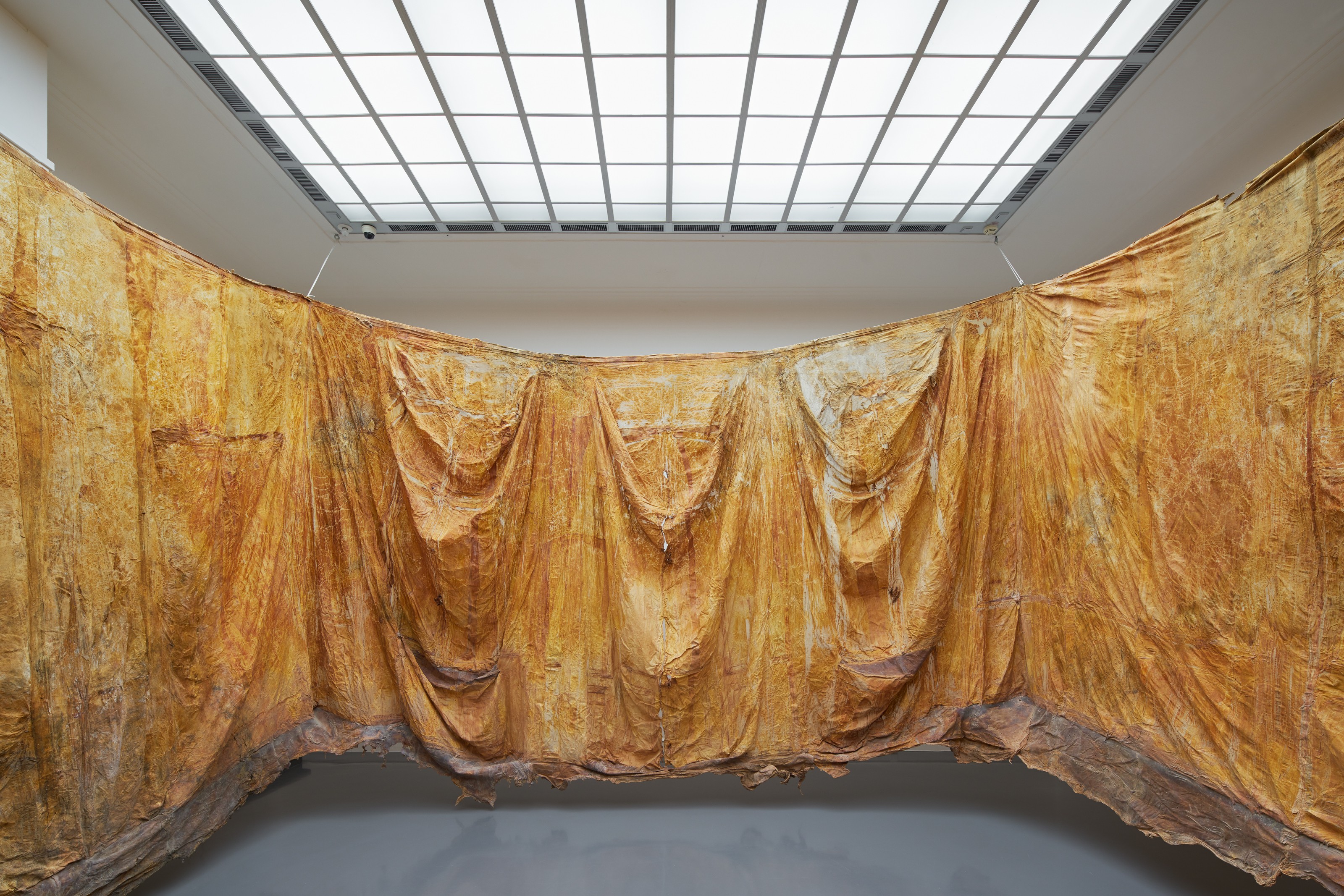 Installation by Heidi Bucher