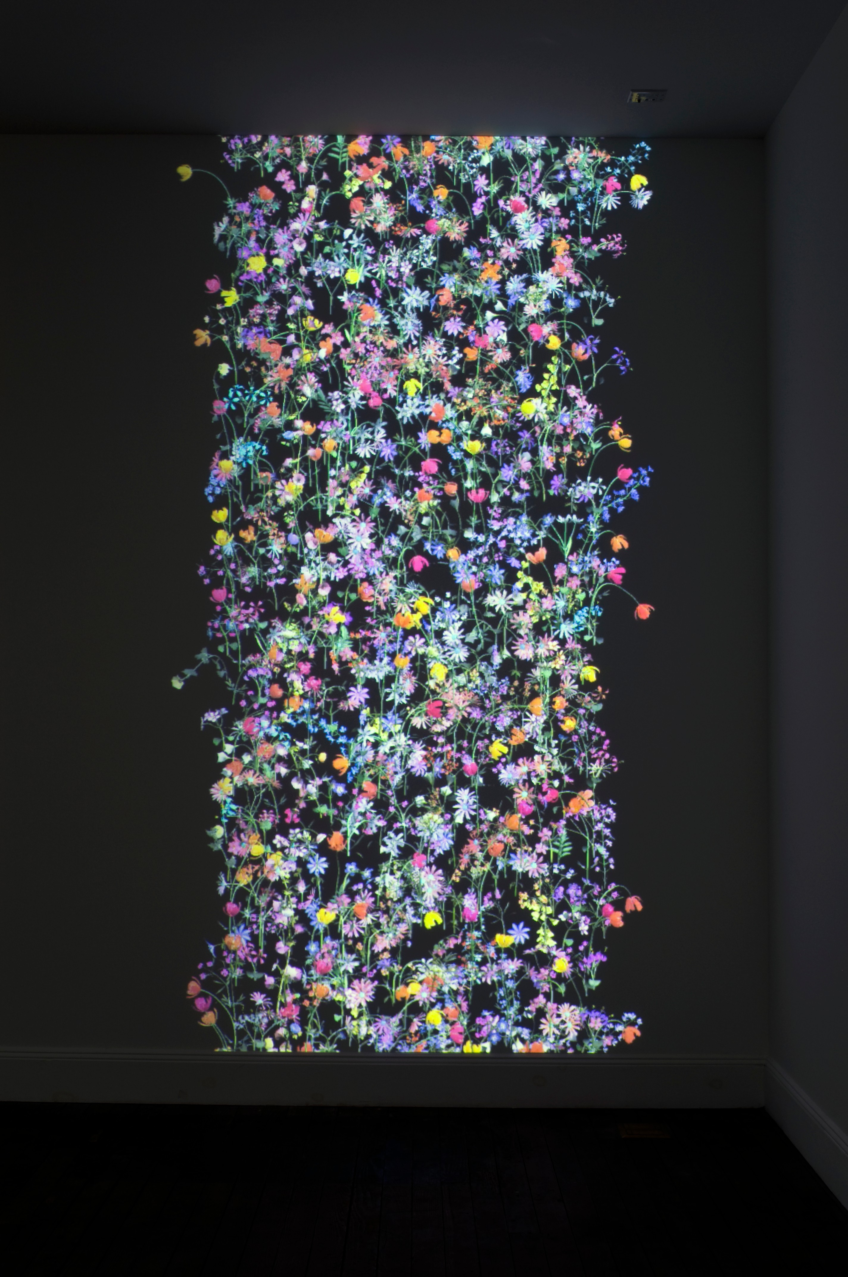 Installation view of Daisy Bell and Left Clavicle at Lehmann Maupin New York