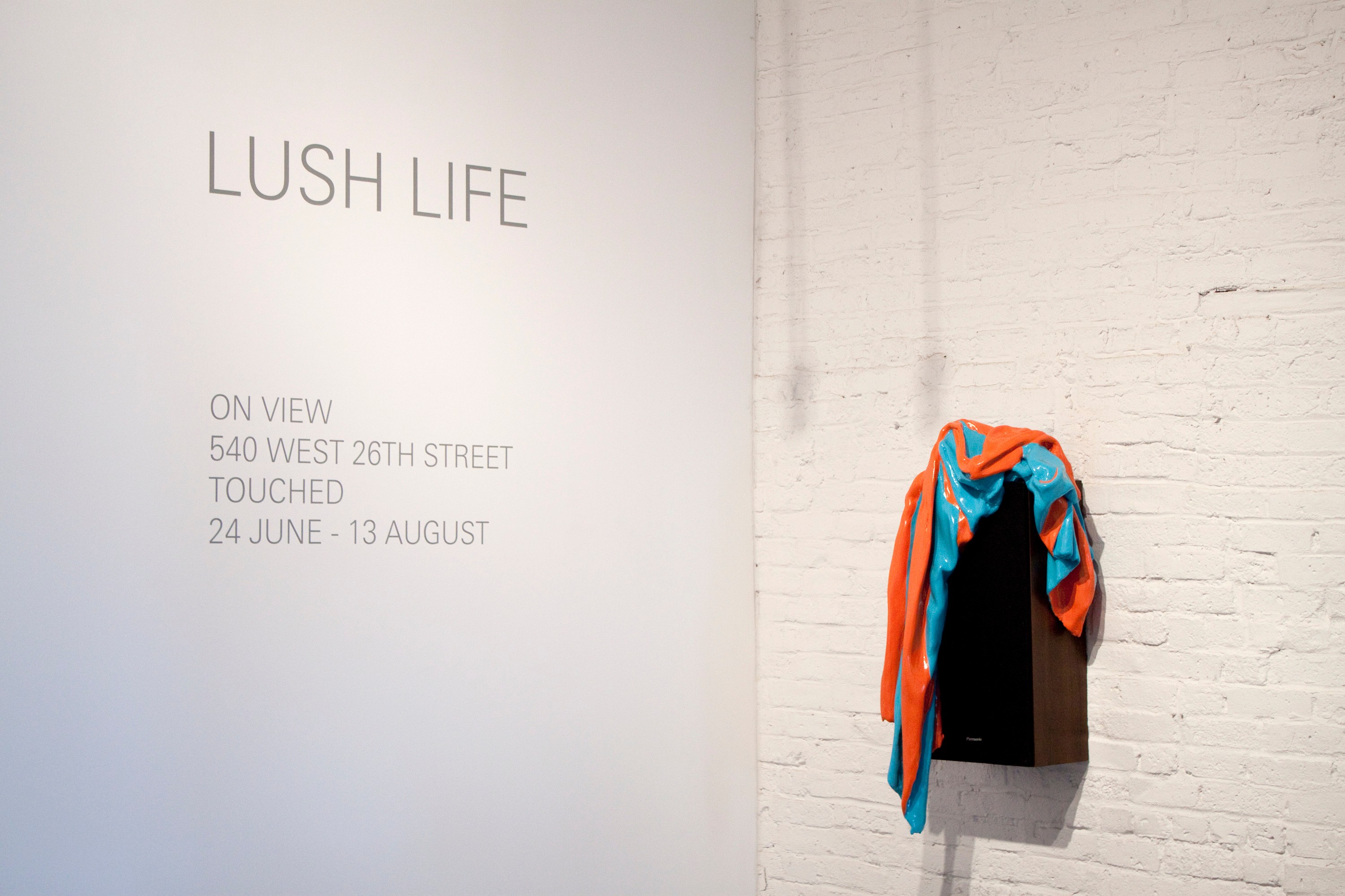 Installation view of LUSH LIFE at Lehmann Maupin New York