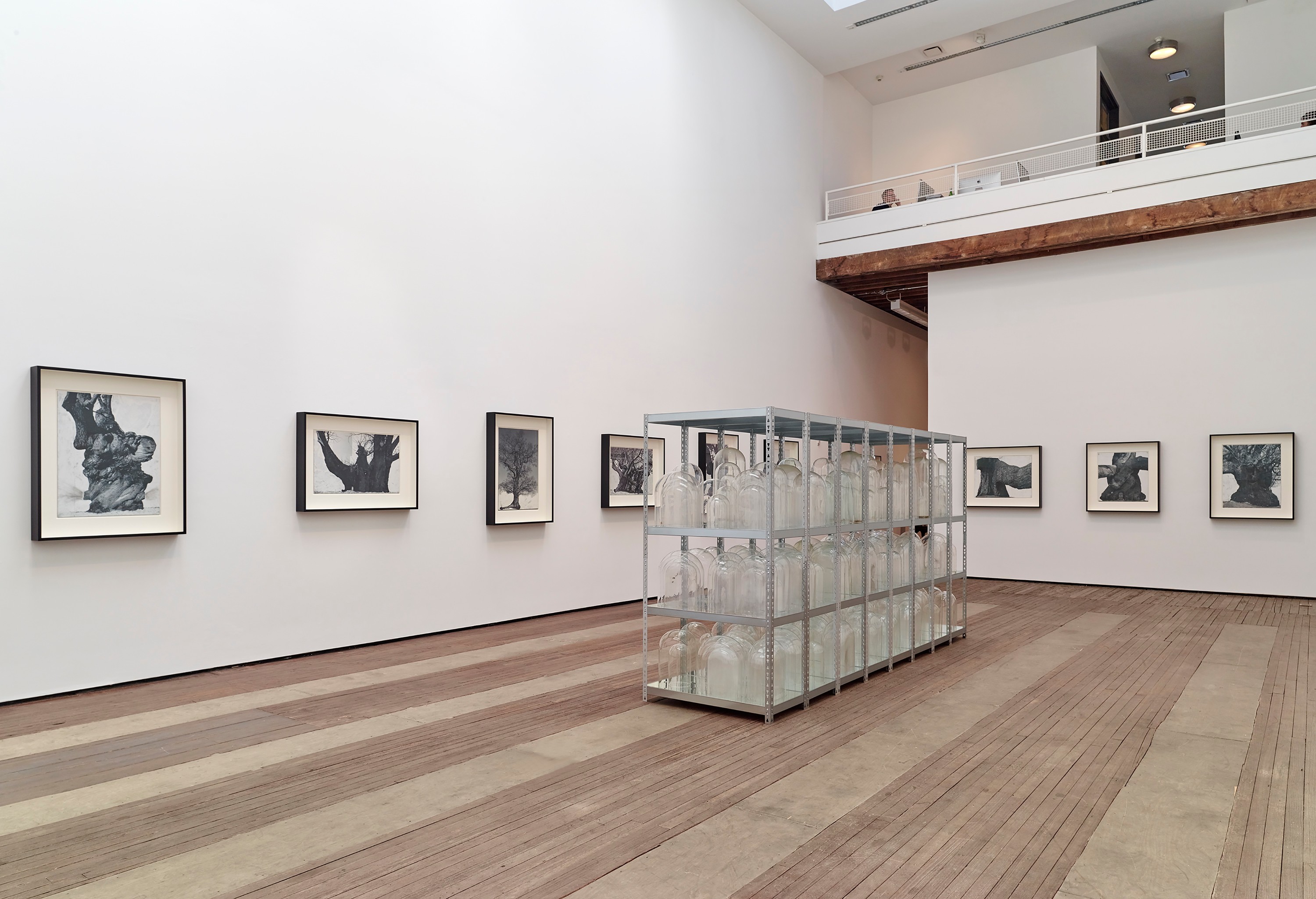 Installation view of Patrick Van Caeckenberg at Lehmann Maupin New York