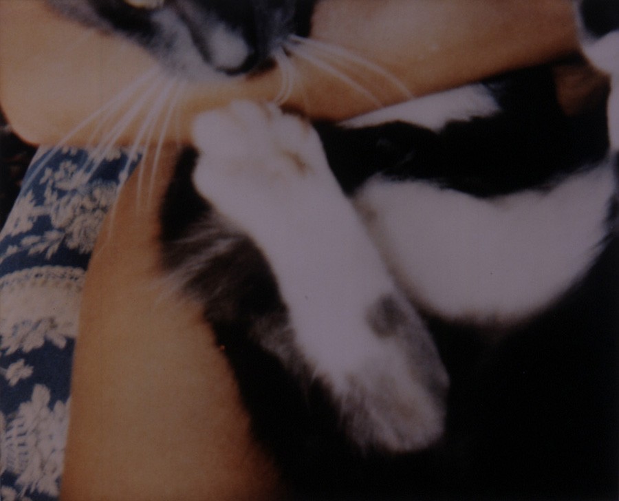 Photograph by Tracey Emin