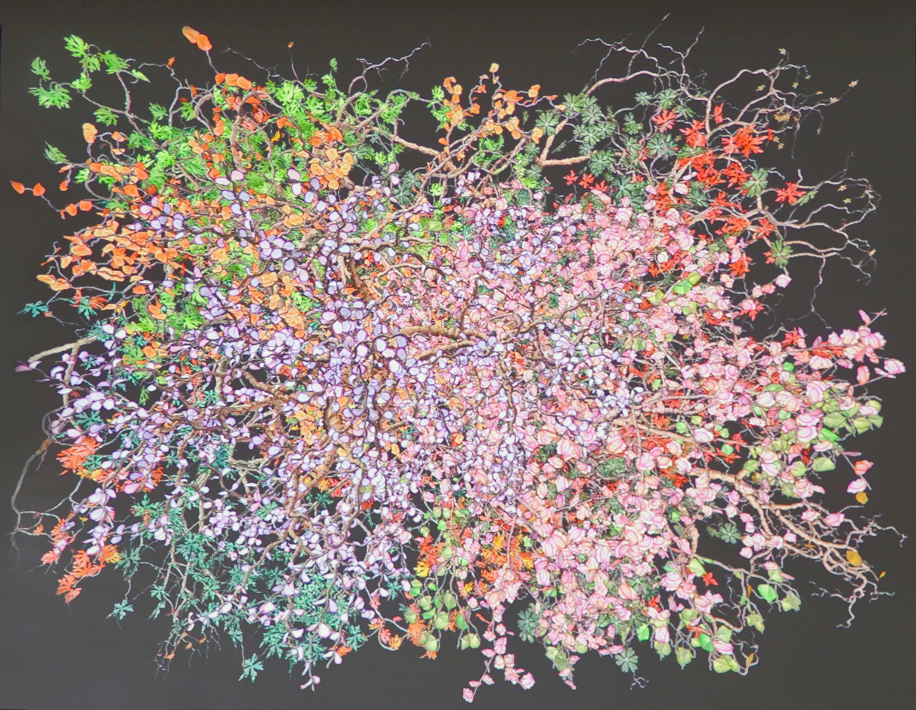Video by Jennifer Steinkamp