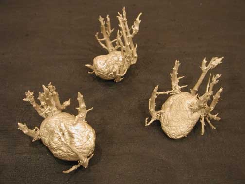 Sculpture by Anya Gallaccio