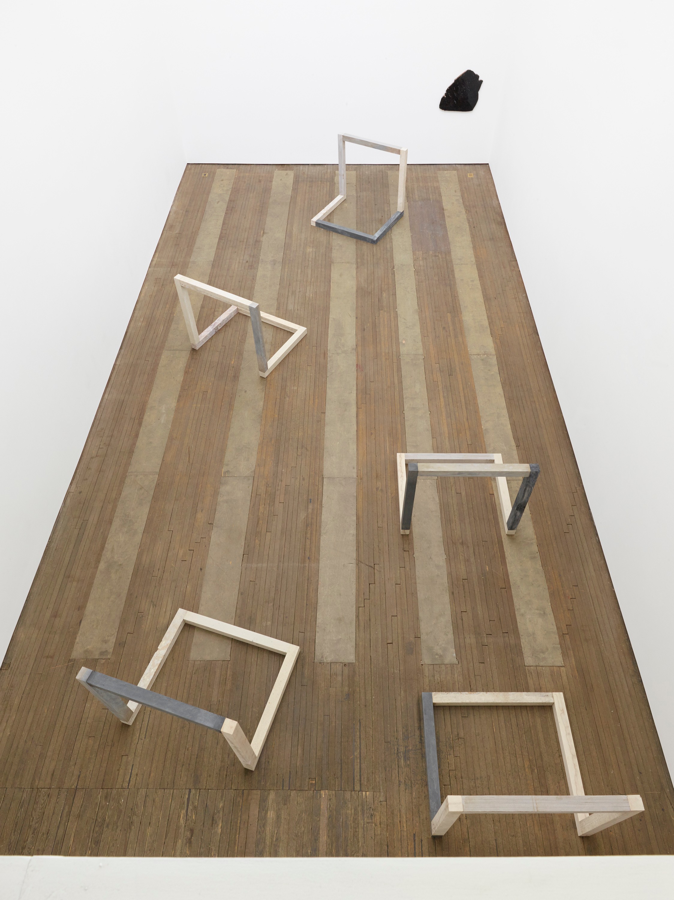 Installation view of Anya Gallaccio at Lehmann Maupin New York