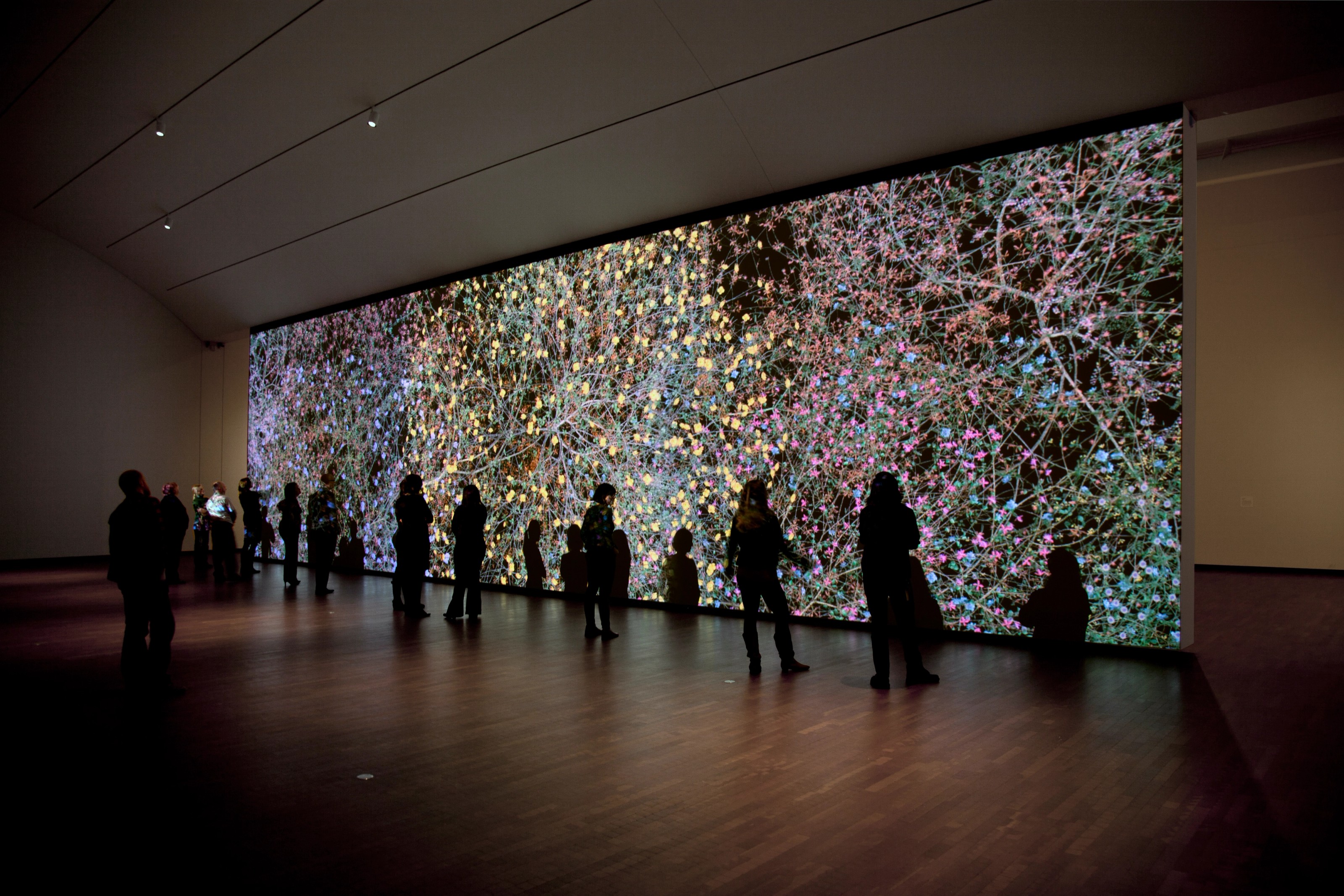 Video still by Jennifer Steinkamp