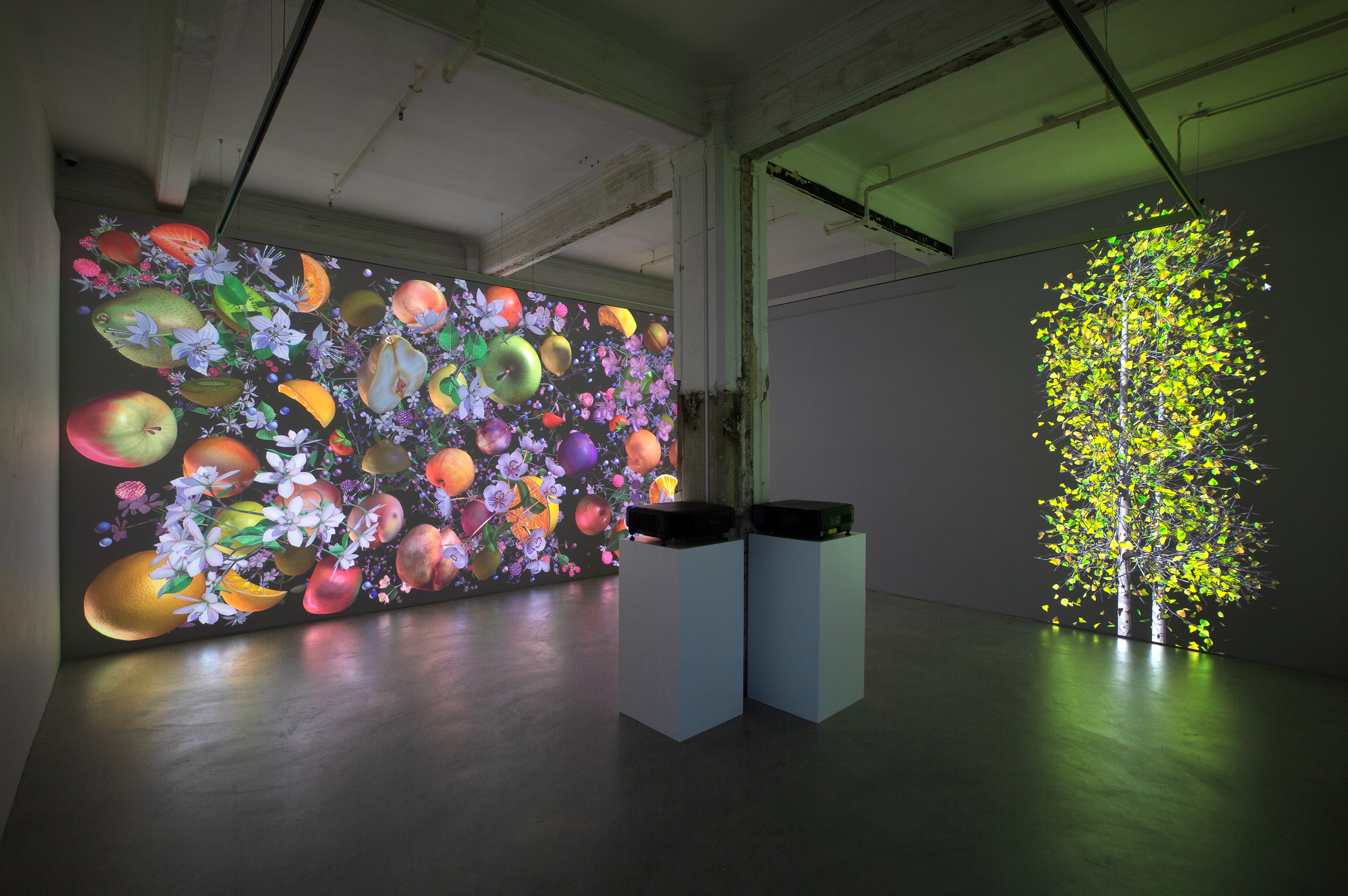 Installation view of Jennifer Steinkamp at Lehmann Maupin Hong Kong
