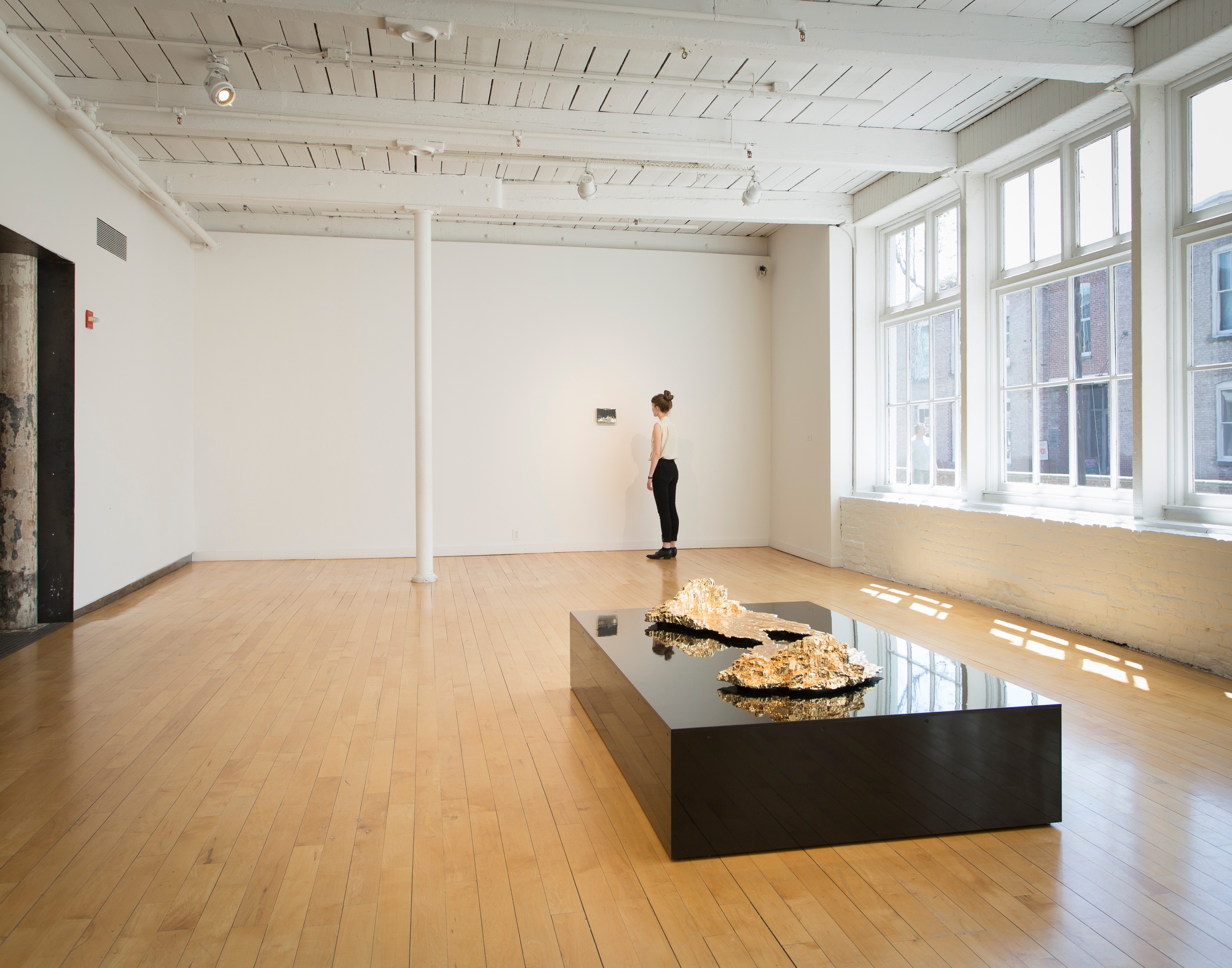 Teresita Fernández Installation