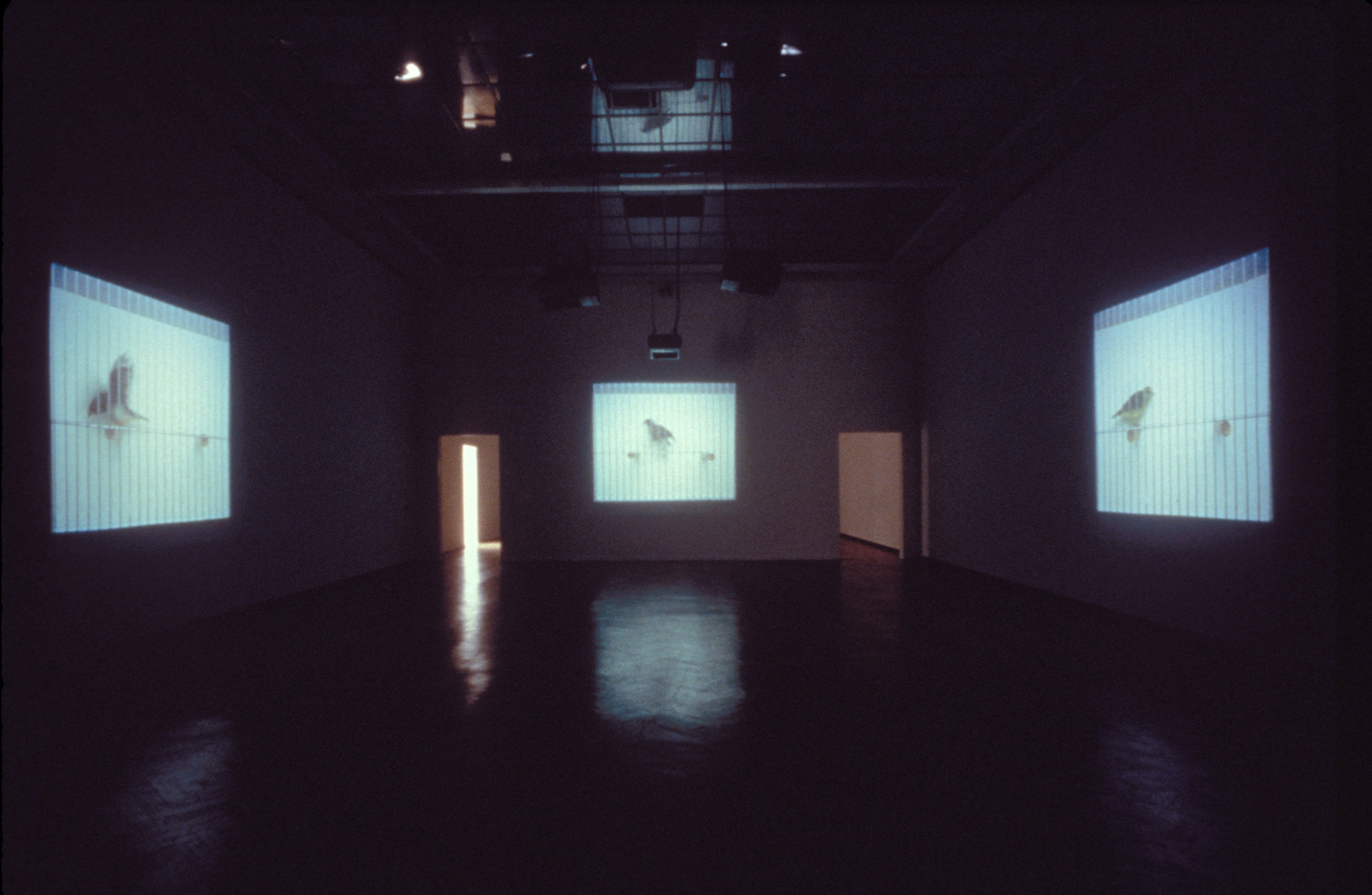 Installation view of Interieur II-V by Marie José Burki