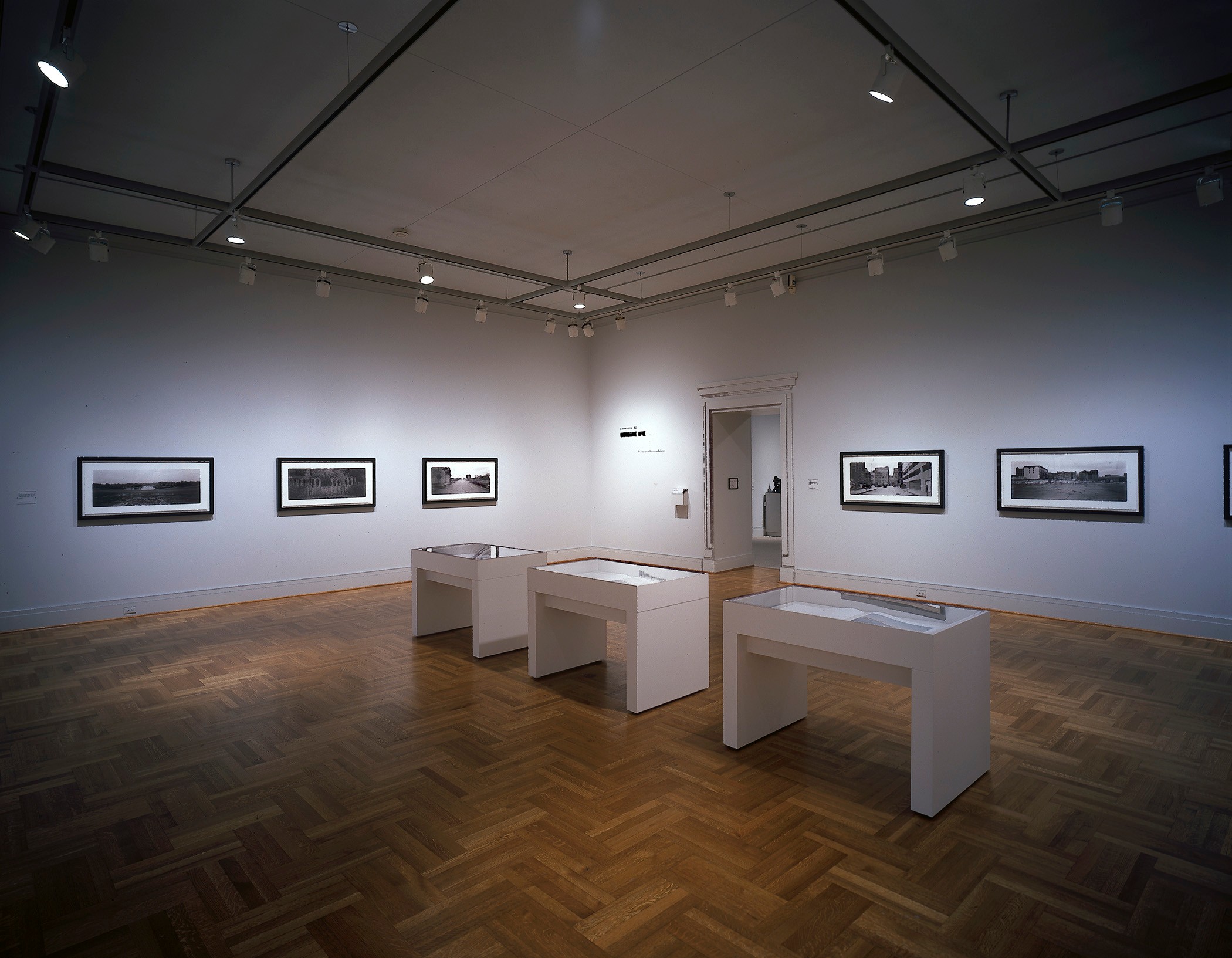 Installation view of in between here and there at Saint Louis Art Museum