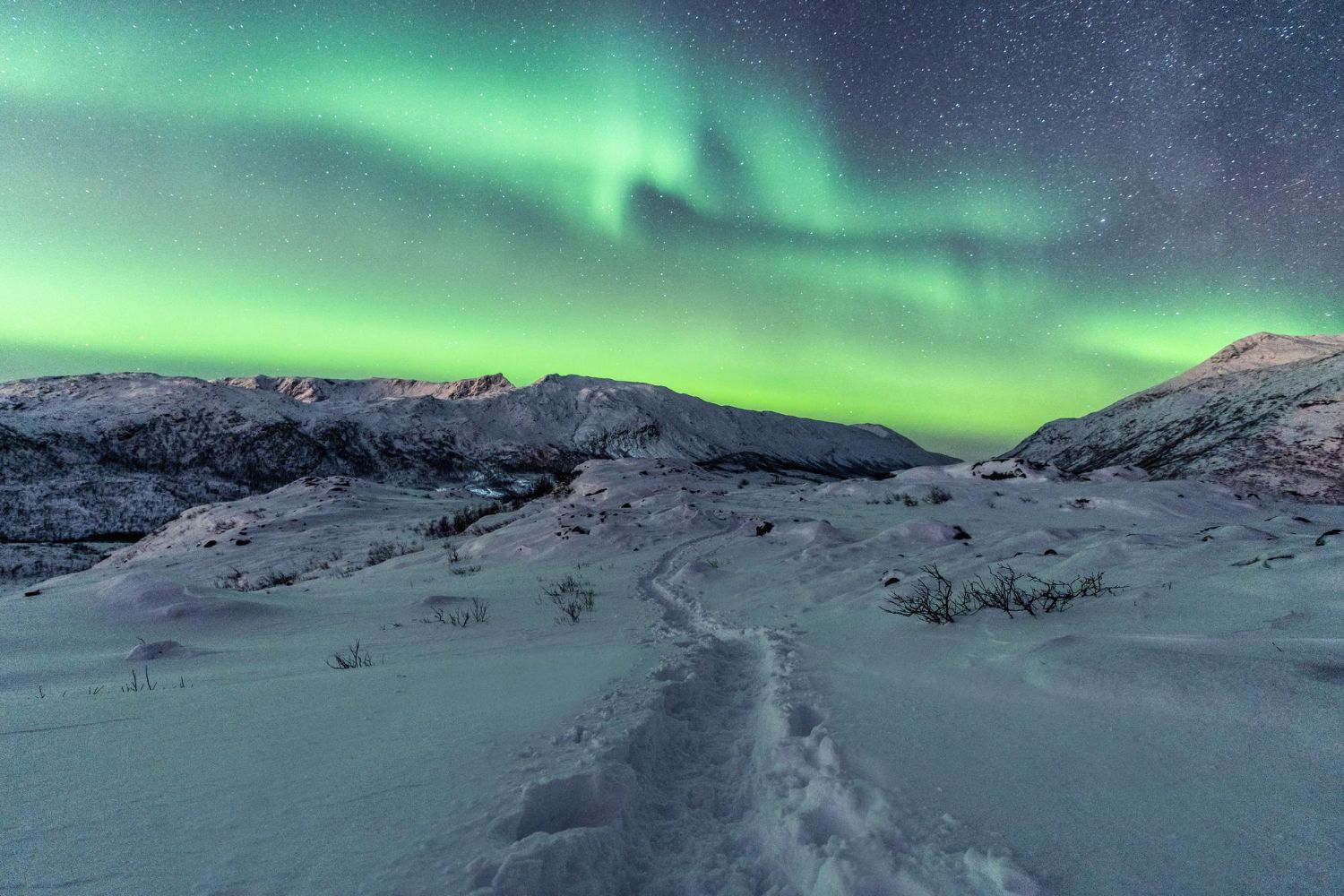 Bilde av nordlyset i Nord-Norge med snø i bakgrunnen