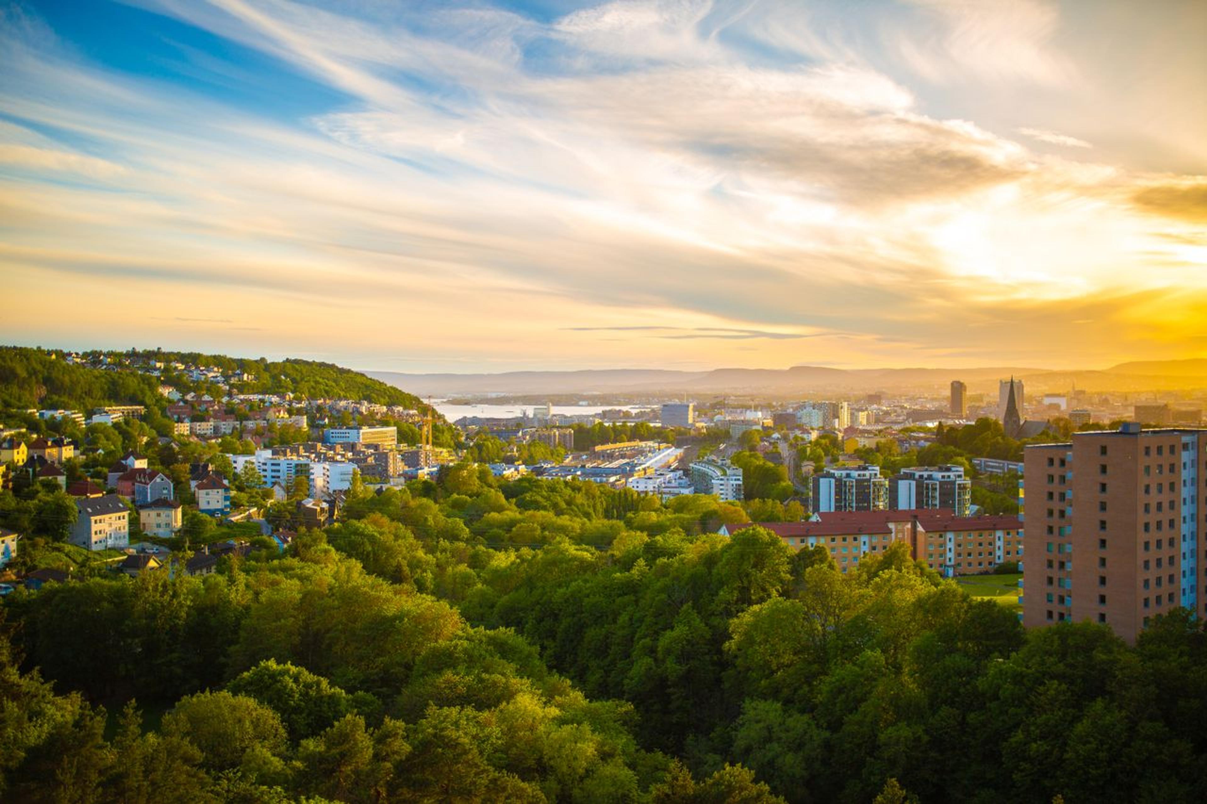 Bilde av et boligfelt i Oslo med Oslo sentrum i bakgrunnen