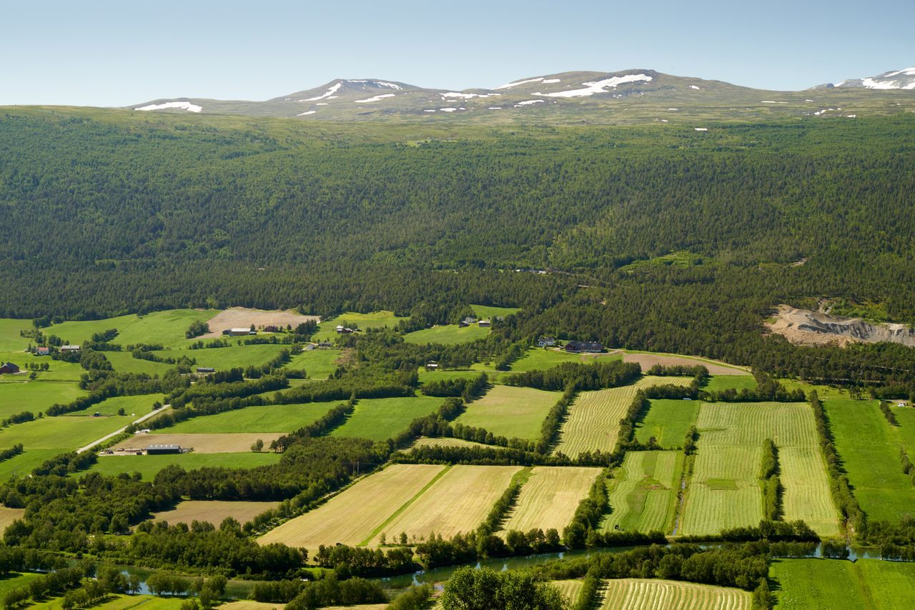 Bilde fra et landsbruksområde i innlandet, Lesja, Norge.