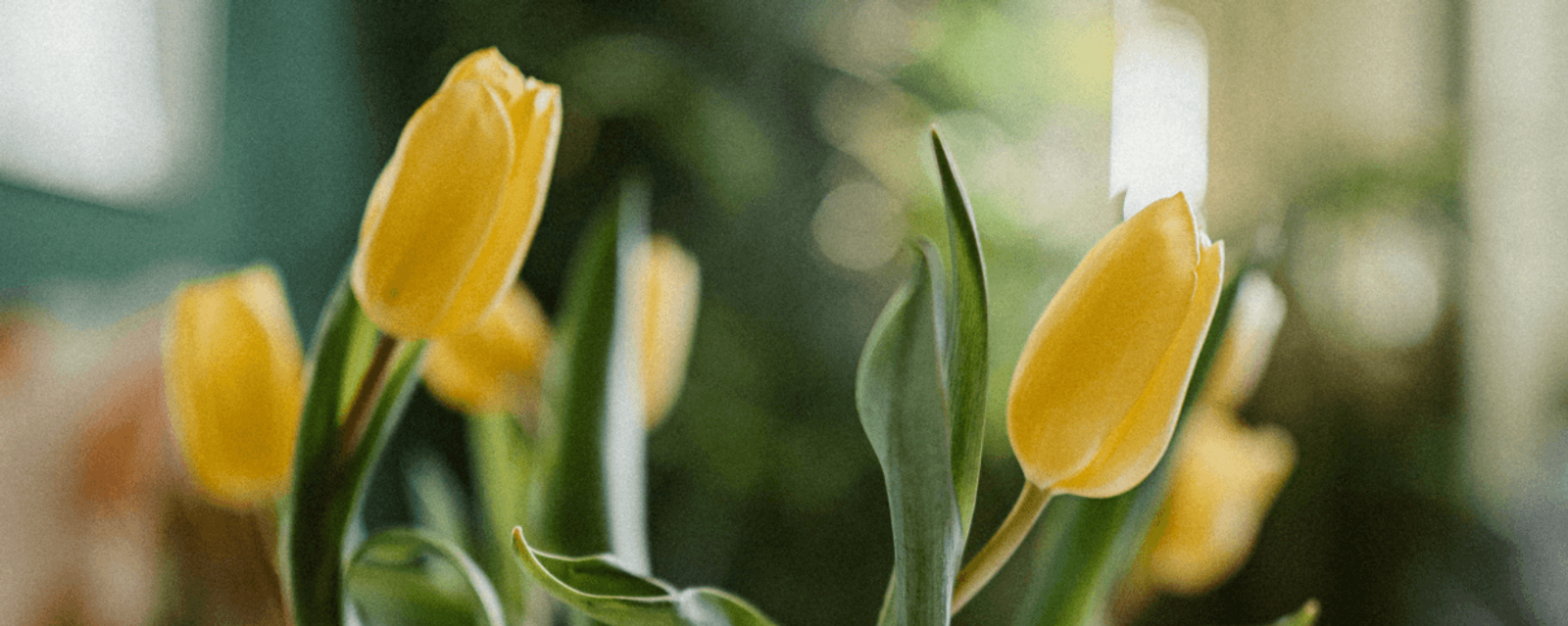 4 Small Changes That Welcome a New Season