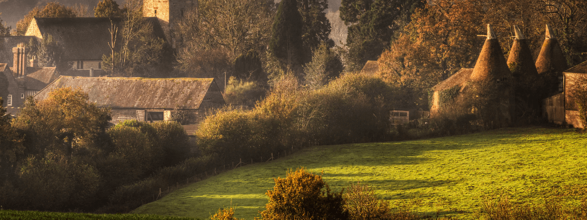 Structural Elements: Creating Garden Interest When Flowers Fade