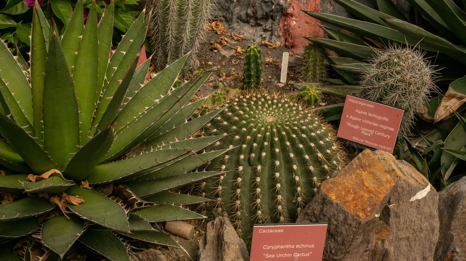 The World Garden