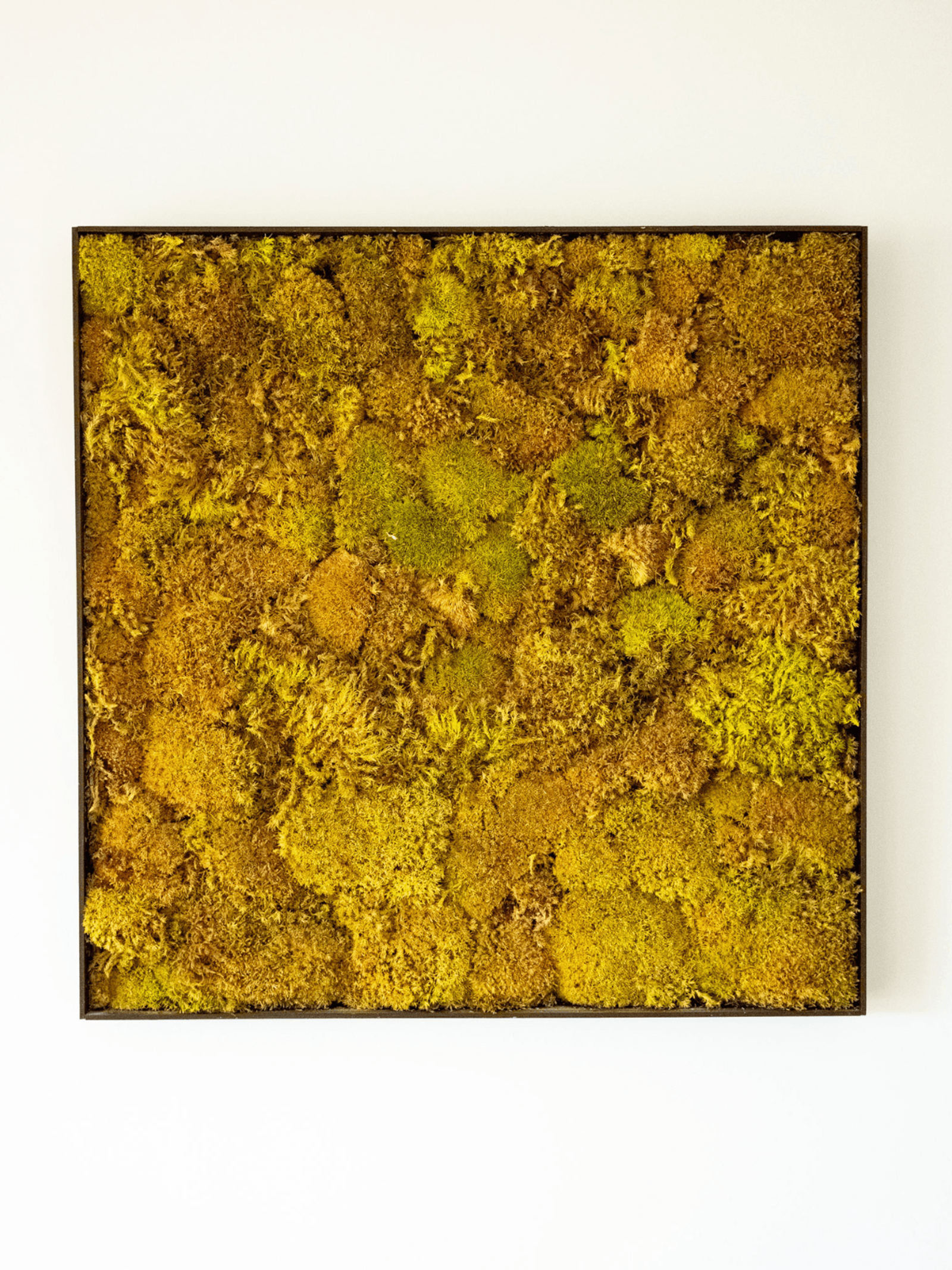 Kent home interiors framed moss wall art in natural yellow and green tones