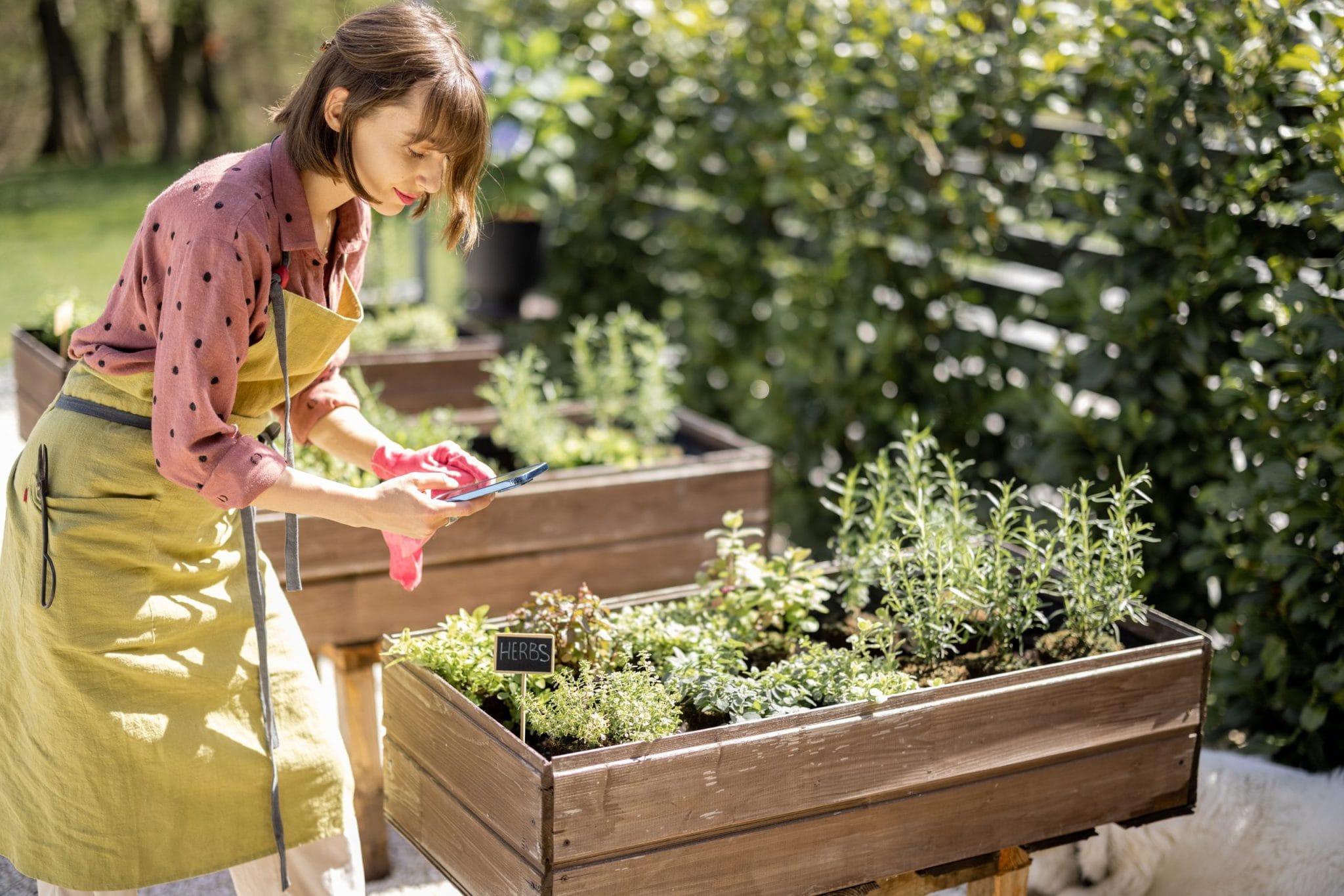 Container Gardening: The Small Space Solution