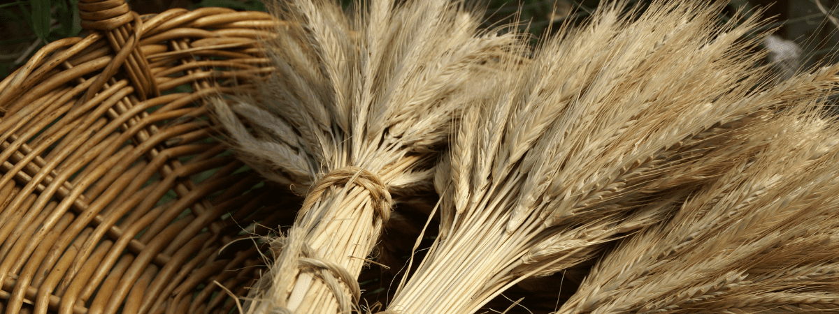 Harvest Traditions: Historical Celebrations in the British Home