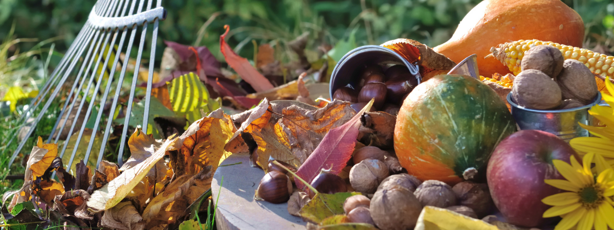 Harvest Home: Edible Gardens for Seasonal Abundance