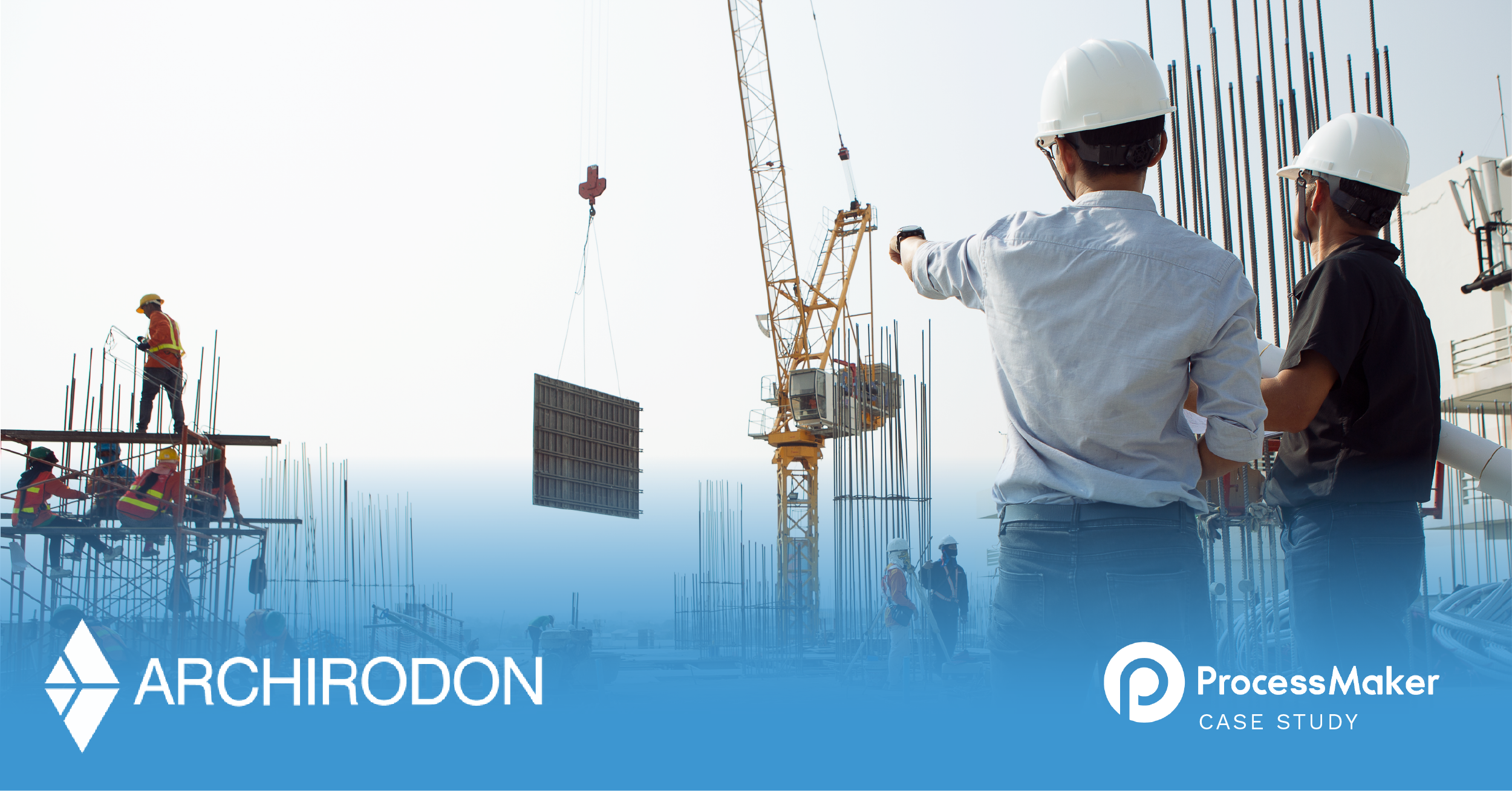 |Archirodon Group PM Case Study