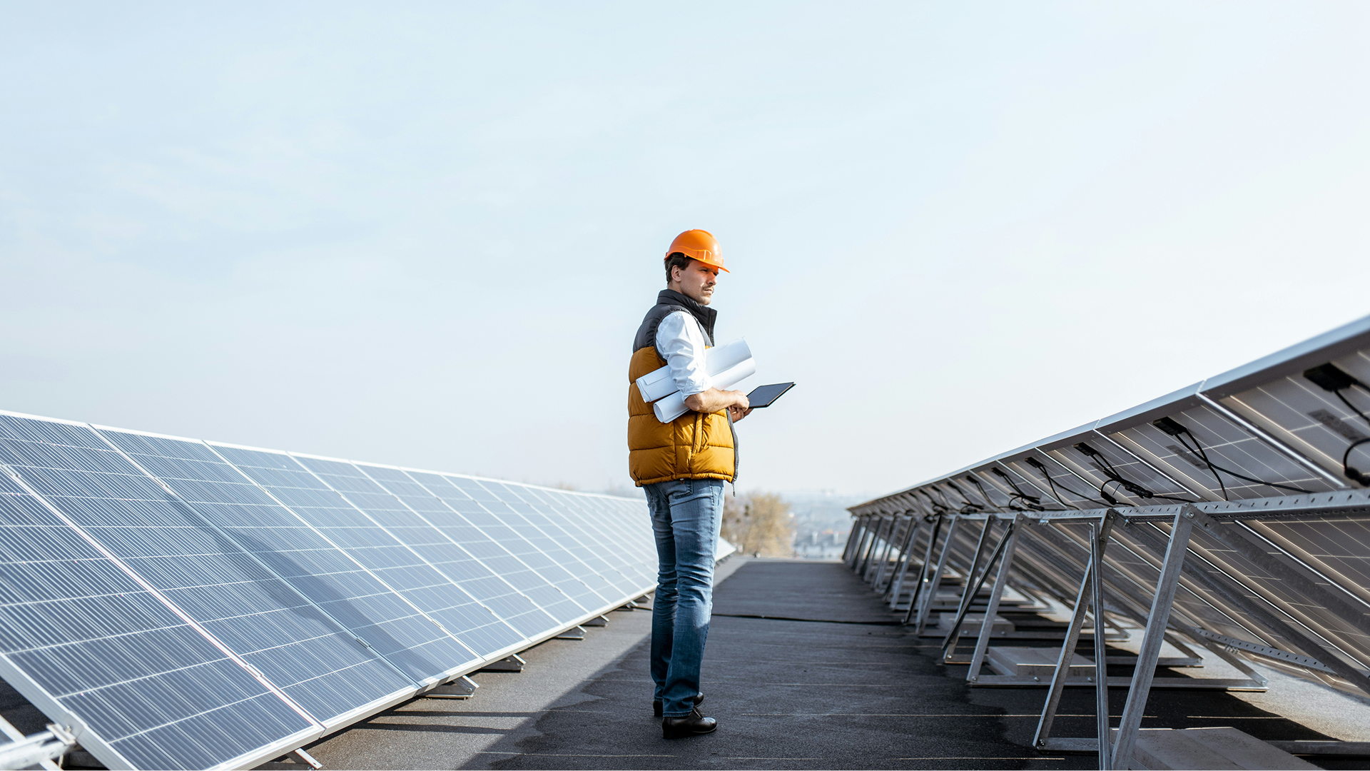 SAP data migration, validation, and governance with Decisions