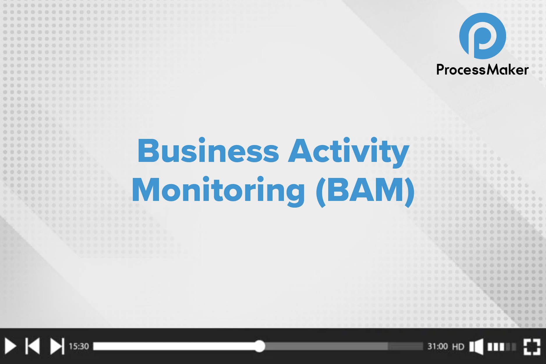 Business Activity Monitoring (BAM)