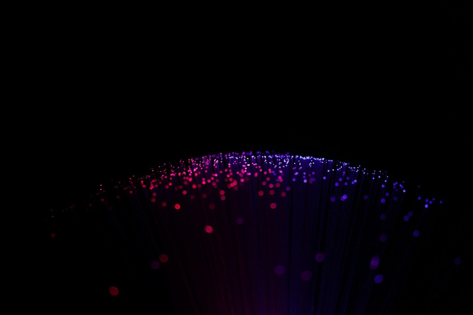 Points of purple and magenta light rising on a dark background
