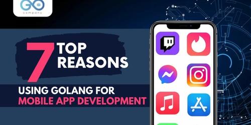 Top 7 Reasons Using Golang for Mobile App Development 's picture