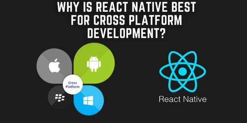 Why is react native best for cross platform development? Banner image's picture