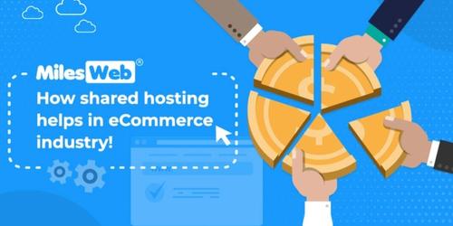 How shared hosting helps eCommerce Businesses to Grow's picture