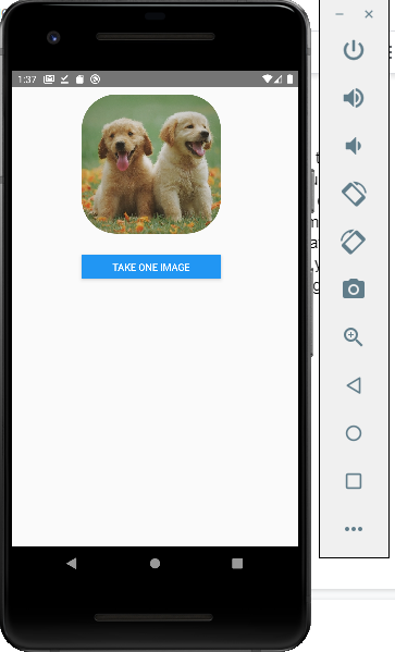 Running the image picker app on the emulator image 7